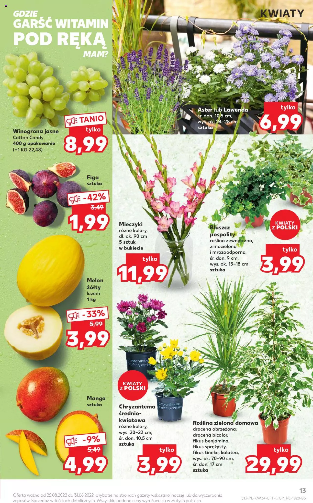 Kaufland gazetka ważna od 25.08.2022 do 31.08.2022 strona 13