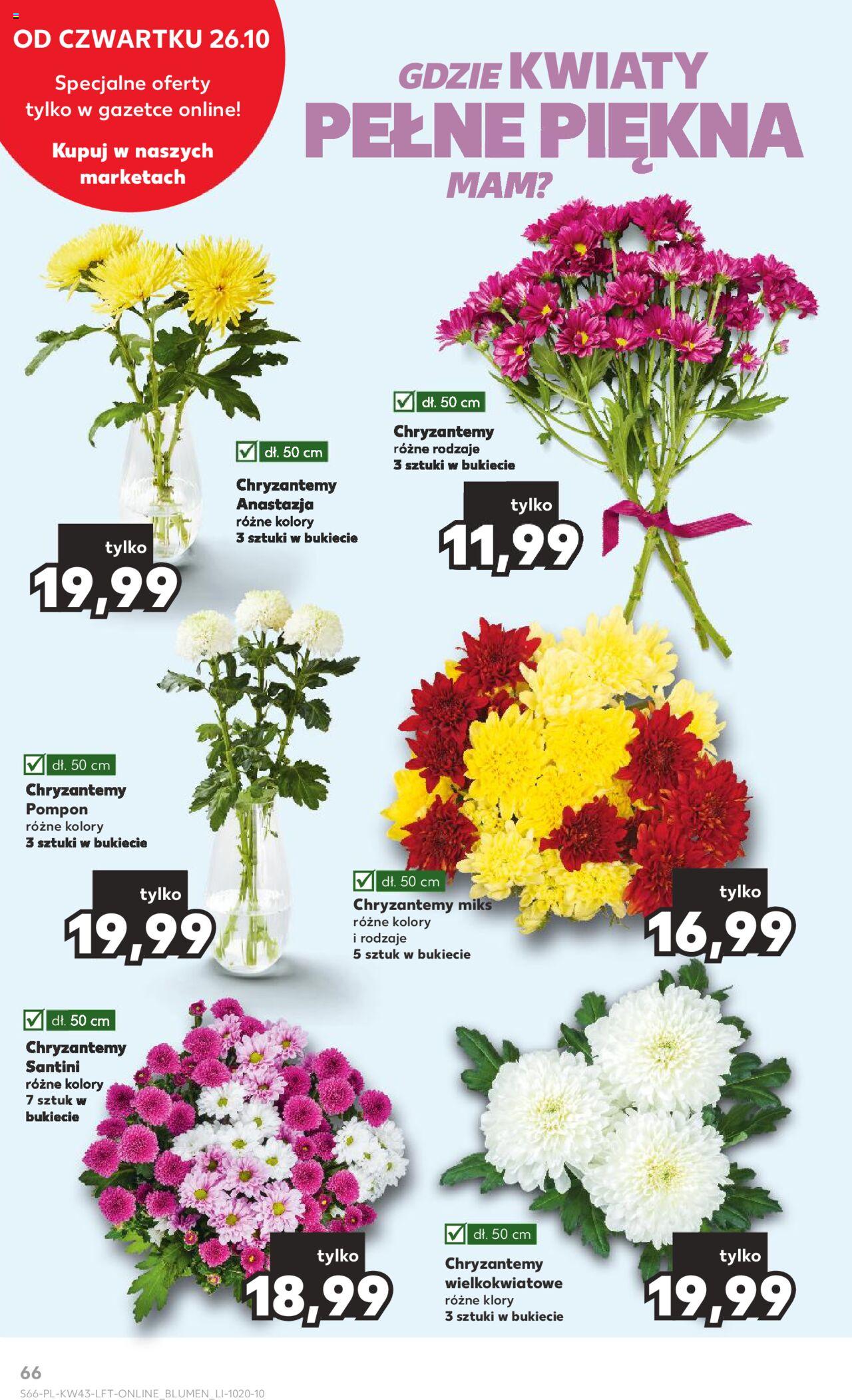 KAUFLAND gazetka ważna od 26.10.2023 do31.10.2023 strona 66