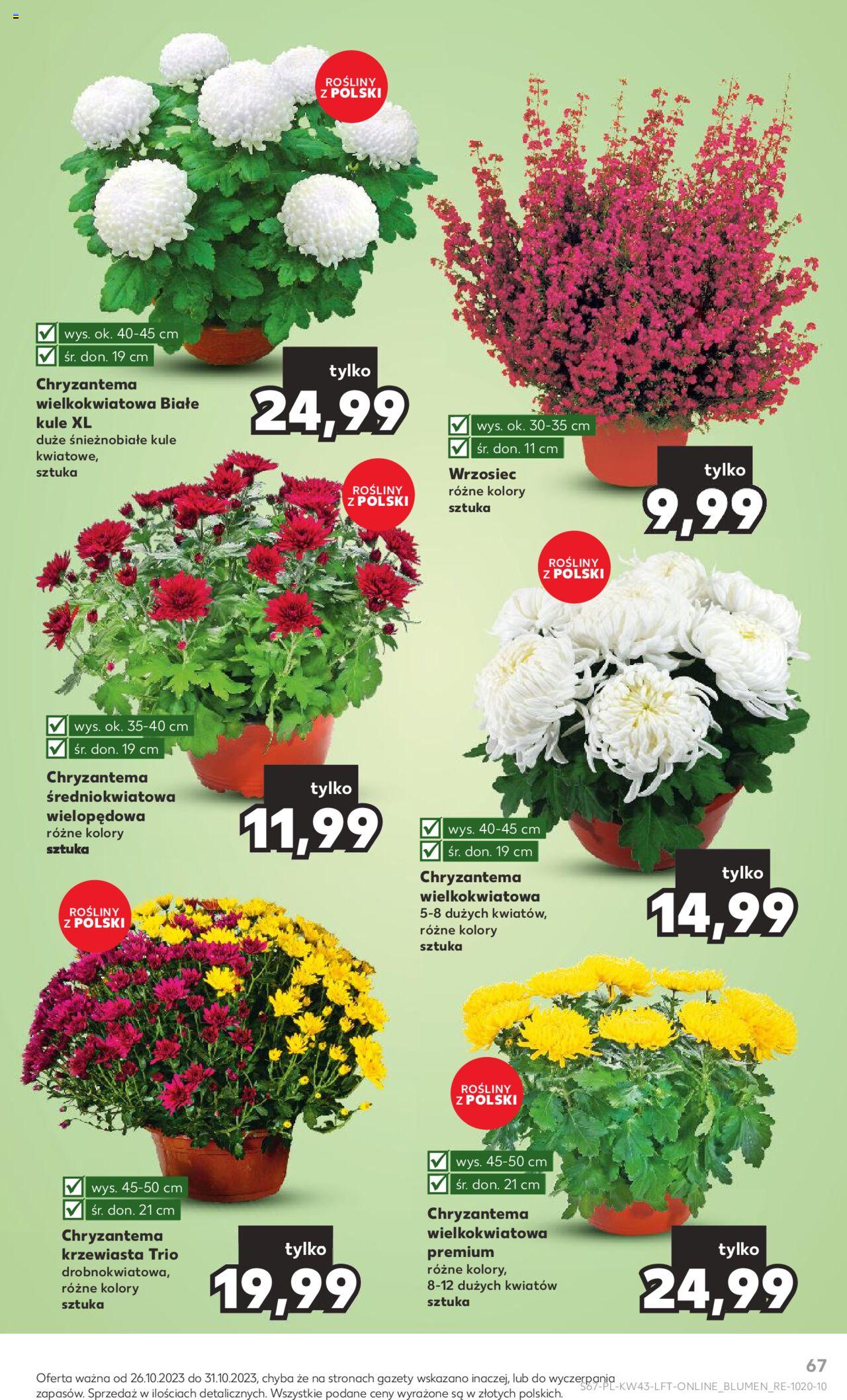 KAUFLAND gazetka ważna od 26.10.2023 do31.10.2023 strona 67