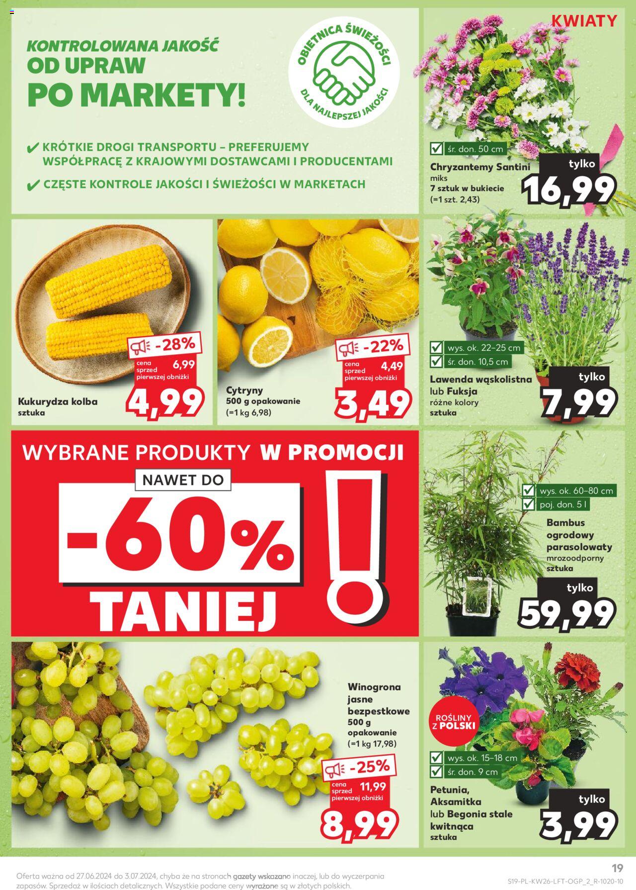 KAUFLAND gazetka ważna od 27.06.2024 do 03.07.2024 strona 19
