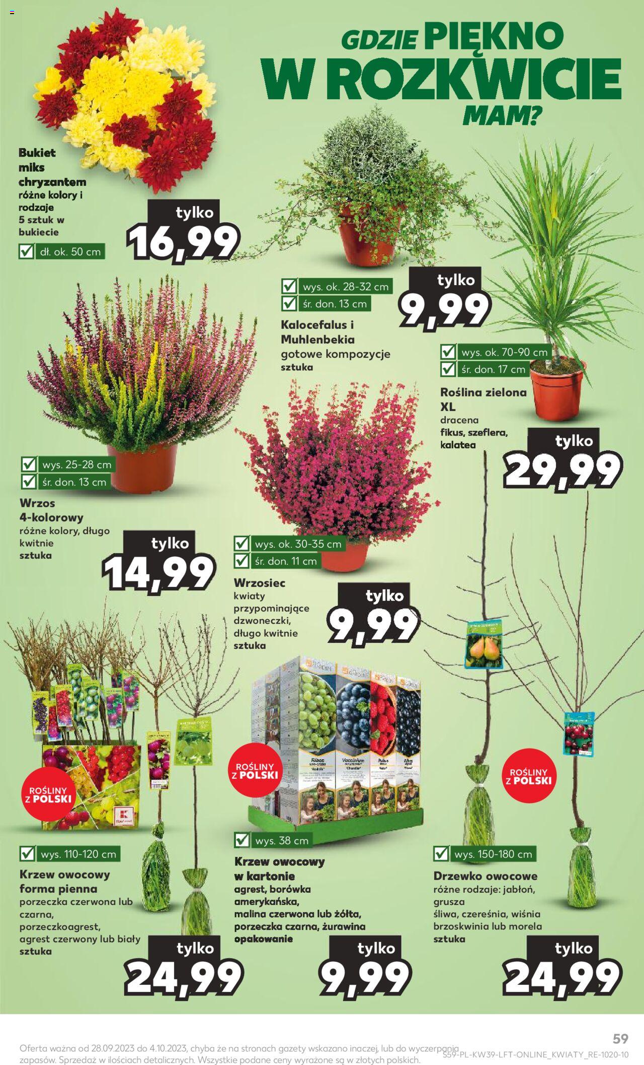 KAUFLAND gazetka ważna od  28.09.2023 do 04.10.2023 strona 59