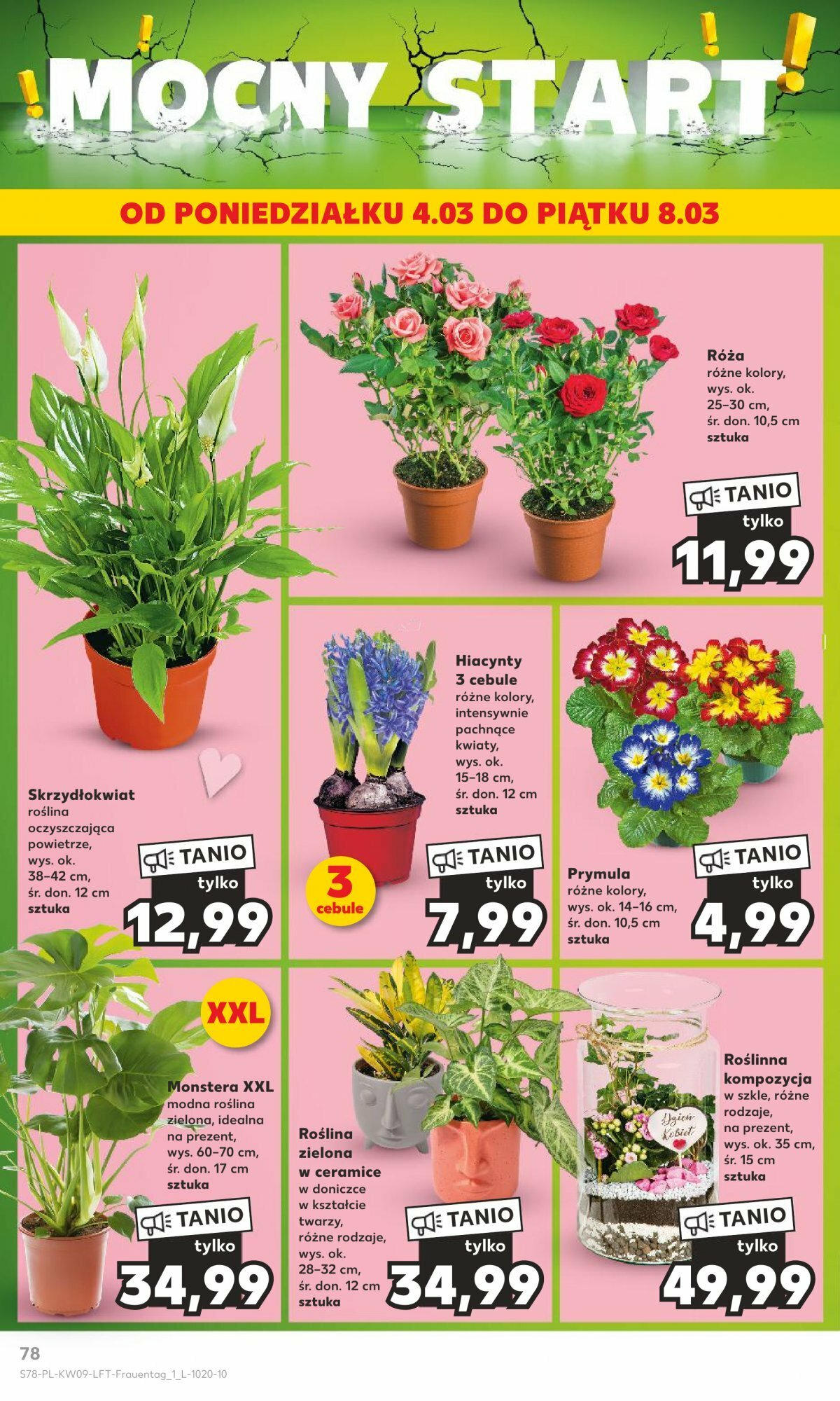 KAUFLAND gazetka ważna od 29.02.2024 do 06.03.2024 strona 75