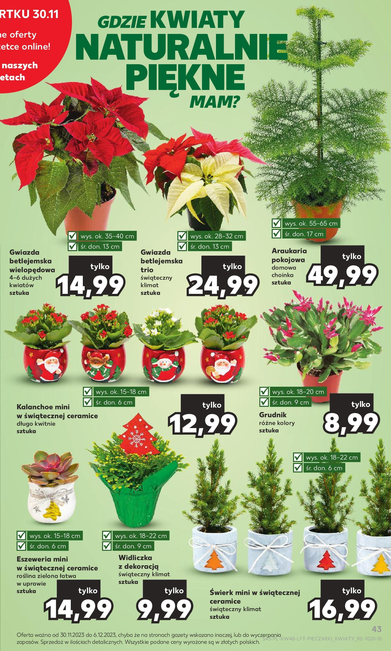 Kaufland gazetka ważna od  30.11.2023 do 06.12.2023 strona 43