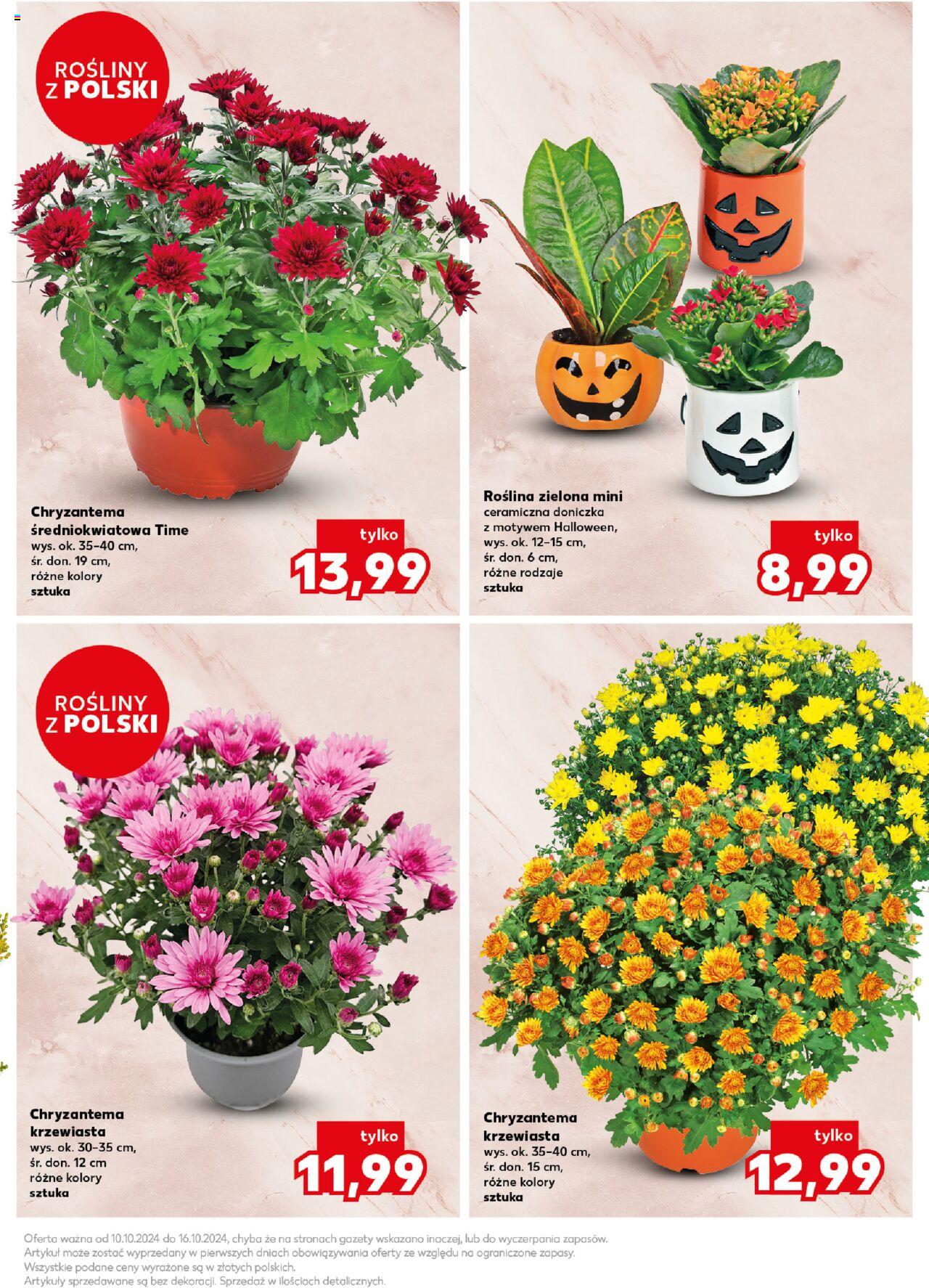 KAUFLAND Znicze gazetka ważna od 10.10.2024 do 16.10.2024 strona 11