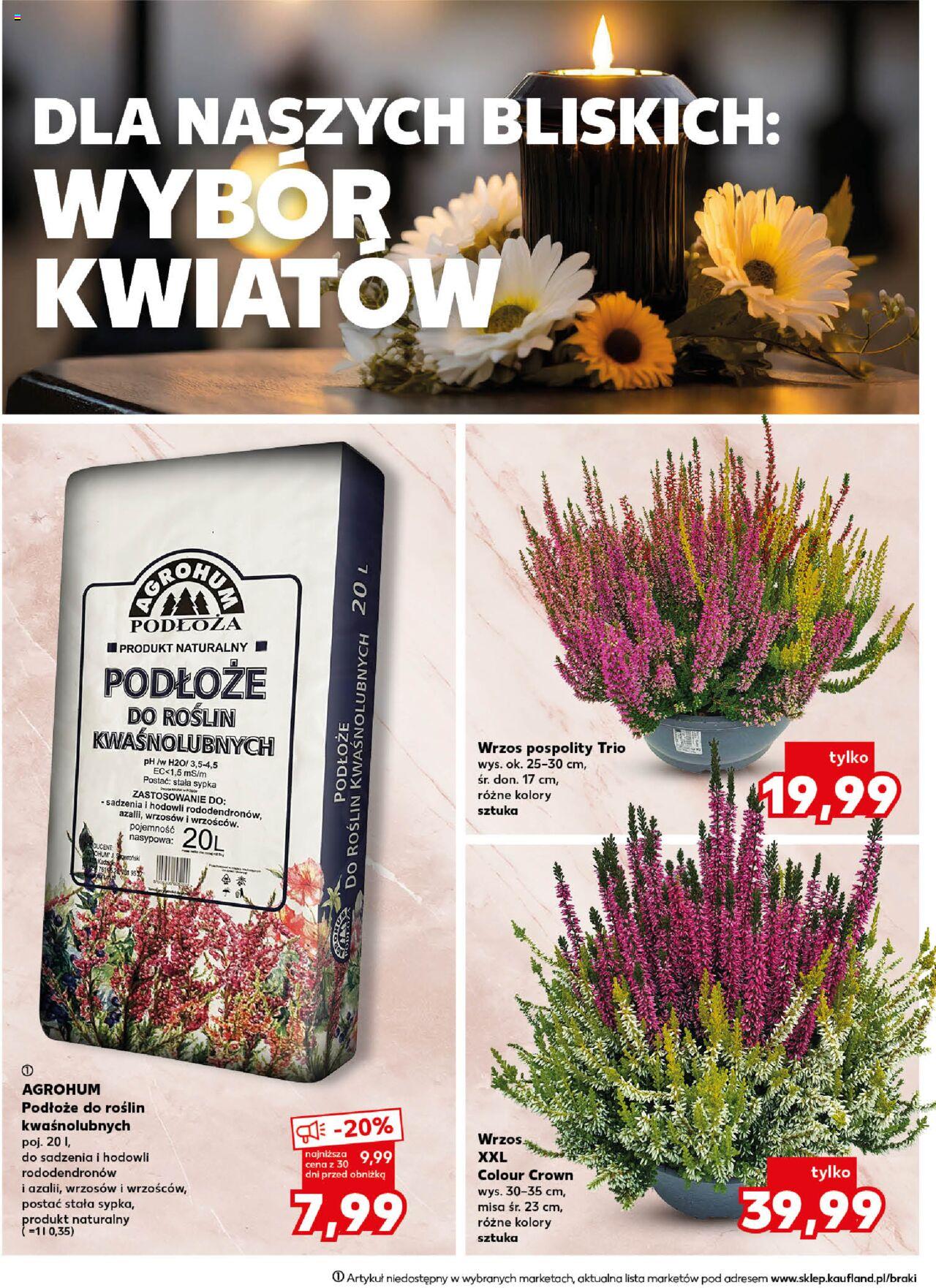 KAUFLAND Znicze gazetka ważna od 10.10.2024 do 16.10.2024 strona 10