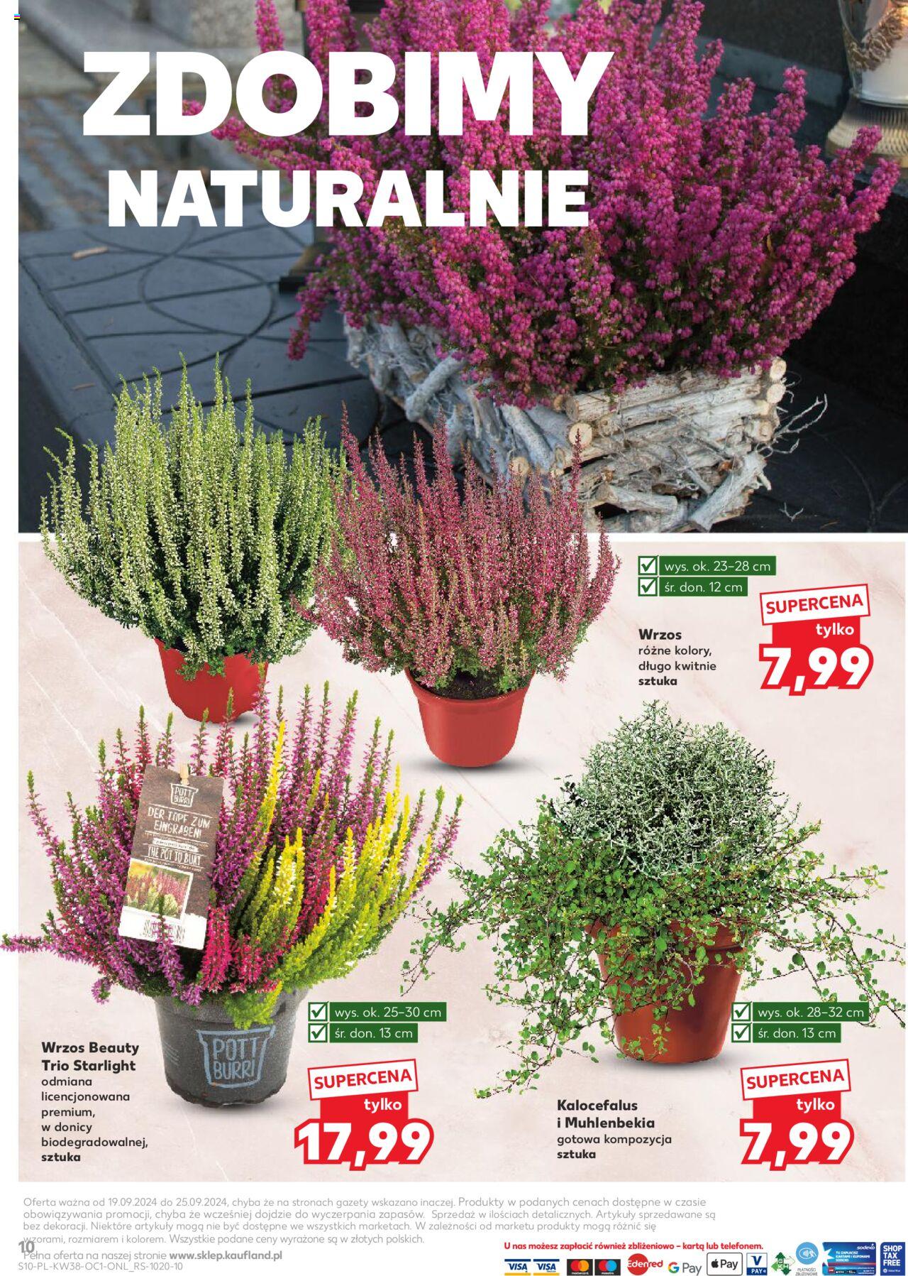 KAUFLAND Znicze gazetka ważna od 19.09.2024 do 25.09.2024 strona 10