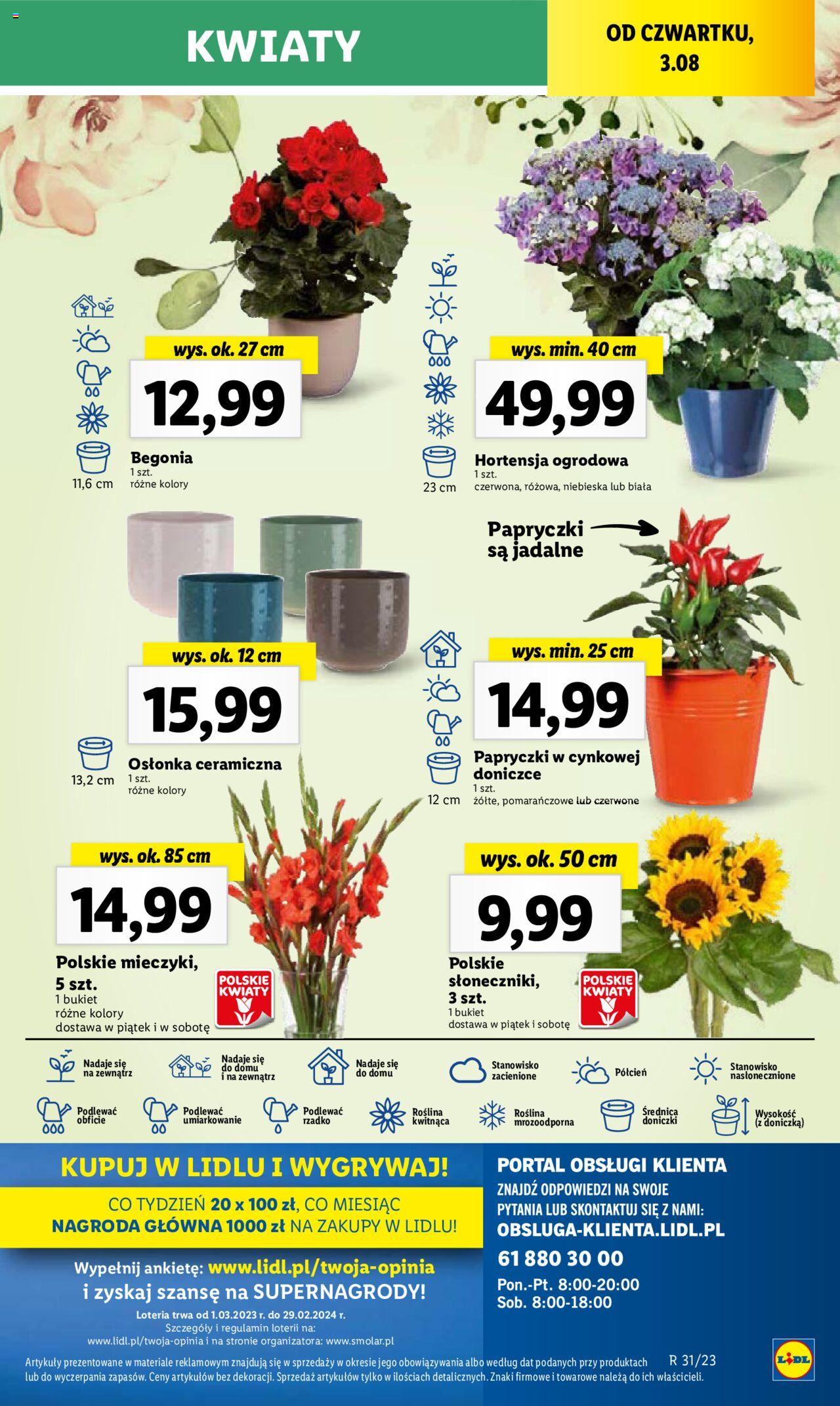 Lidl gazetka ważna 03.08 do 05.08.2023 strona 87
