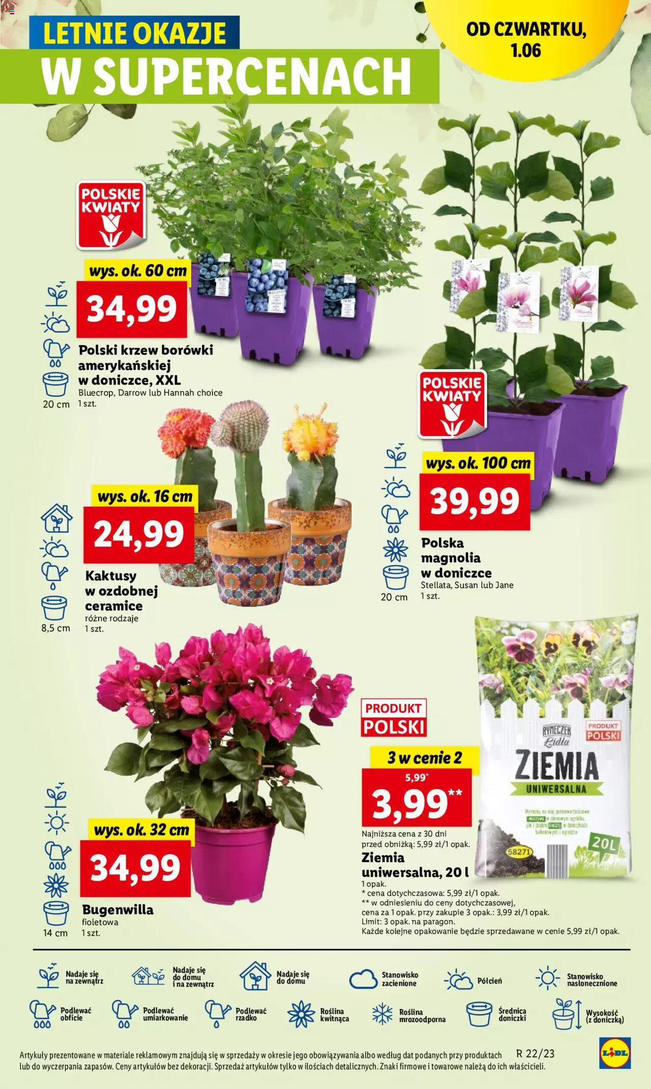 LIDL gazetka ważna od 01.06.2023 do 03.06.2023 strona 41