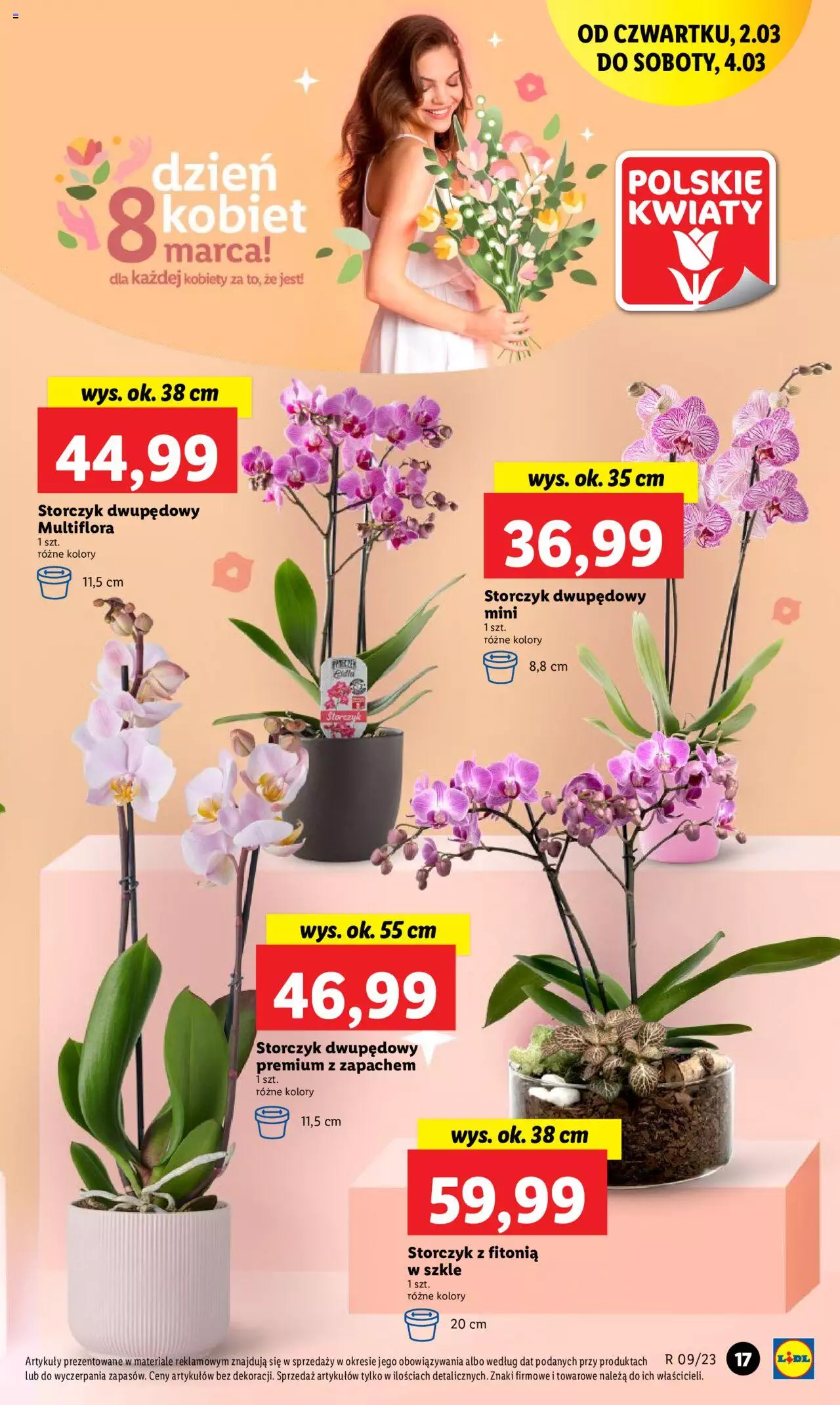 Lidl gazetka ważna od 02.03.2023 do 04.03.2023 strona 19