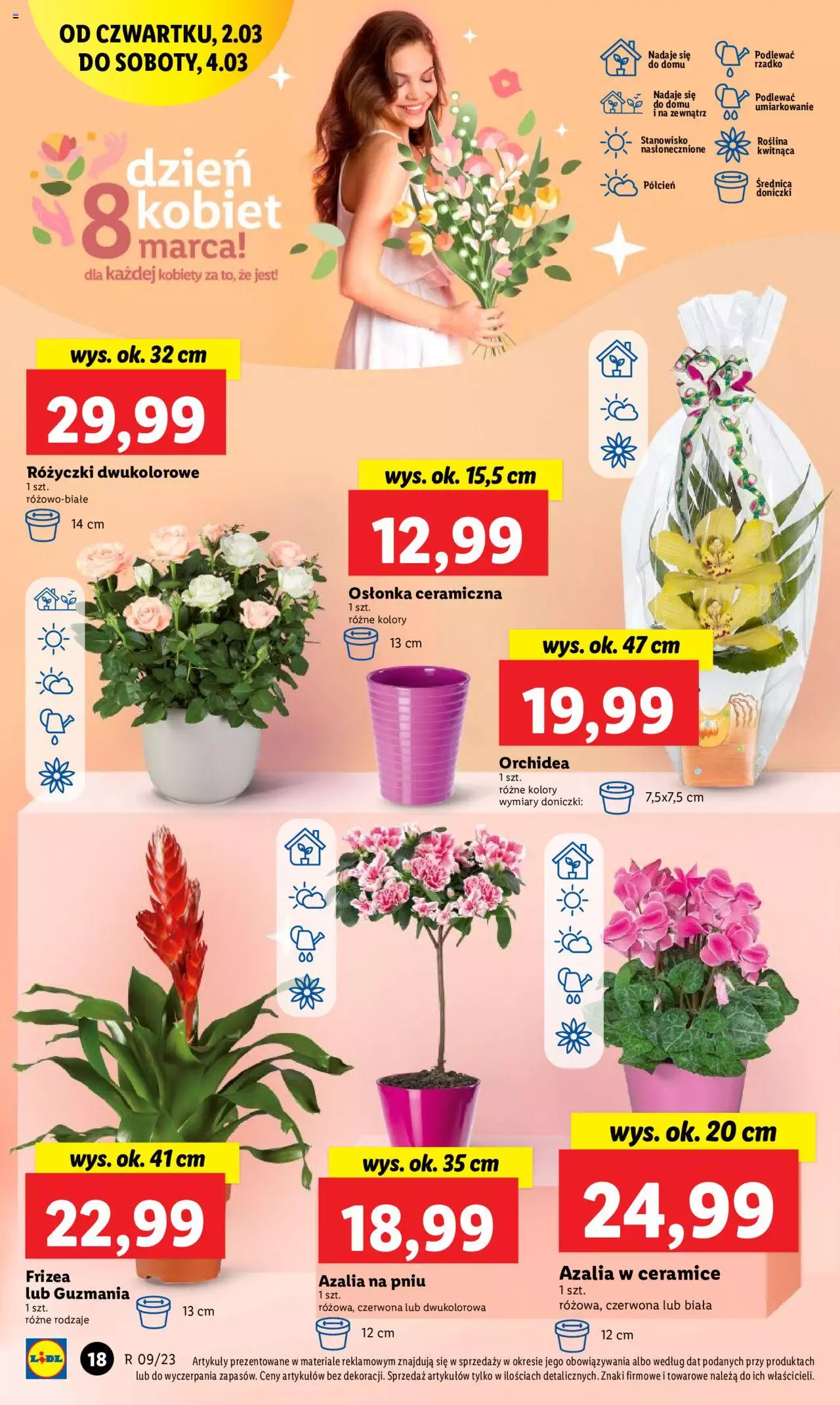 Lidl gazetka ważna od 02.03.2023 do 04.03.2023 strona 20