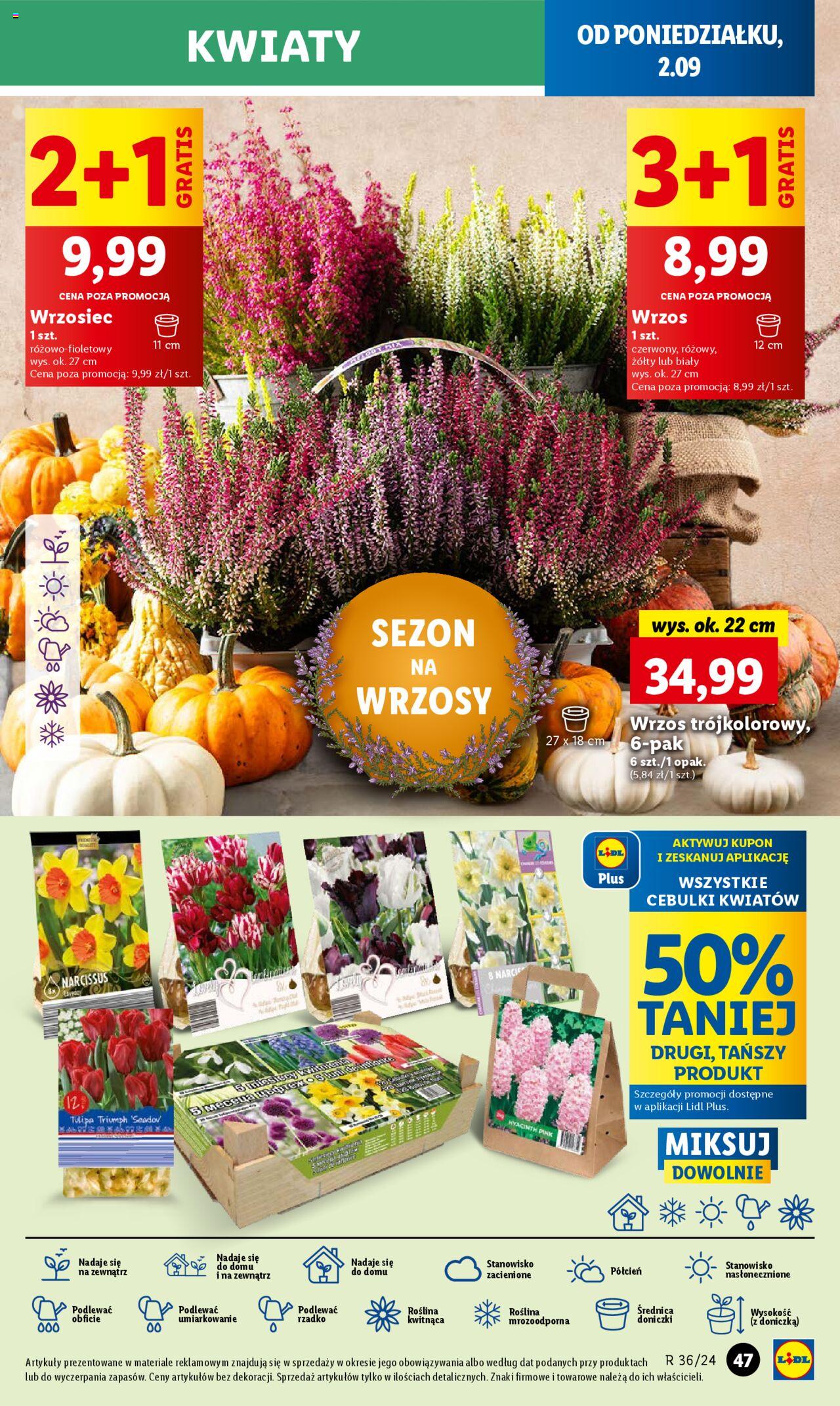 LIDL  gazetka ważna od 02.09.2024 do 04.09.2024 strona 40