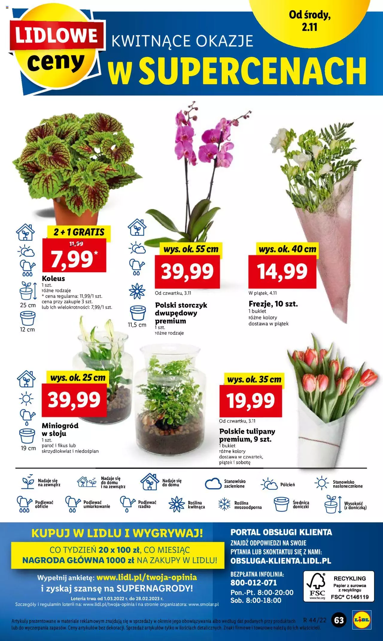 Lidl gazetka ważna od 02.11.2022 do 05.11.2022 strona 66