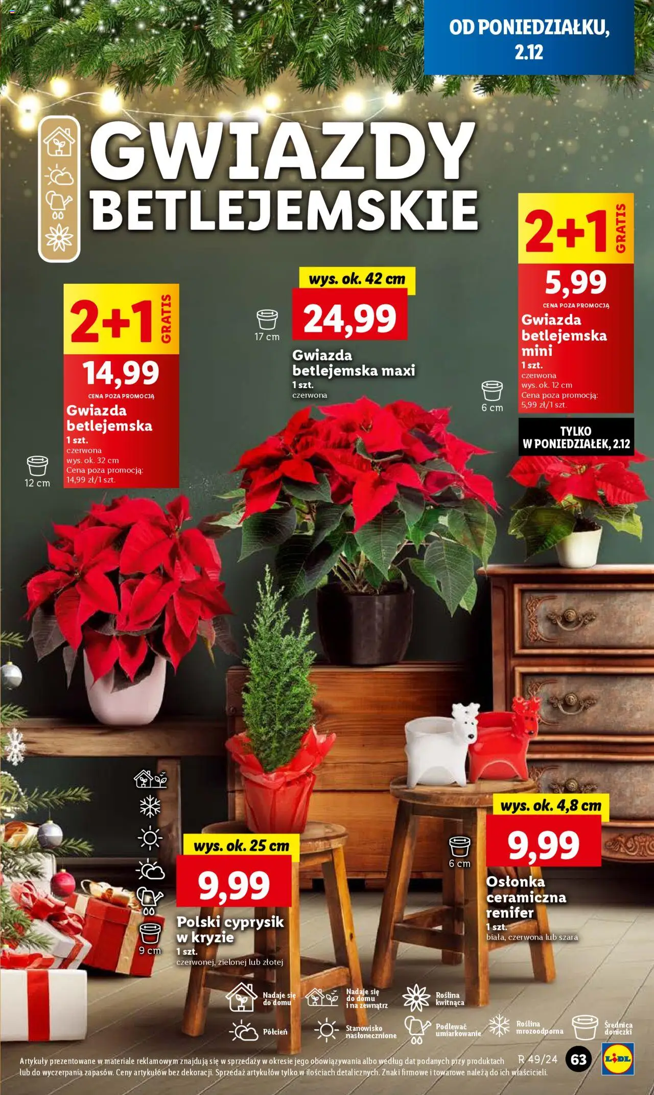 Lidl gazetka ważna od 02.12.2024 do 04.12.2024 strona 63