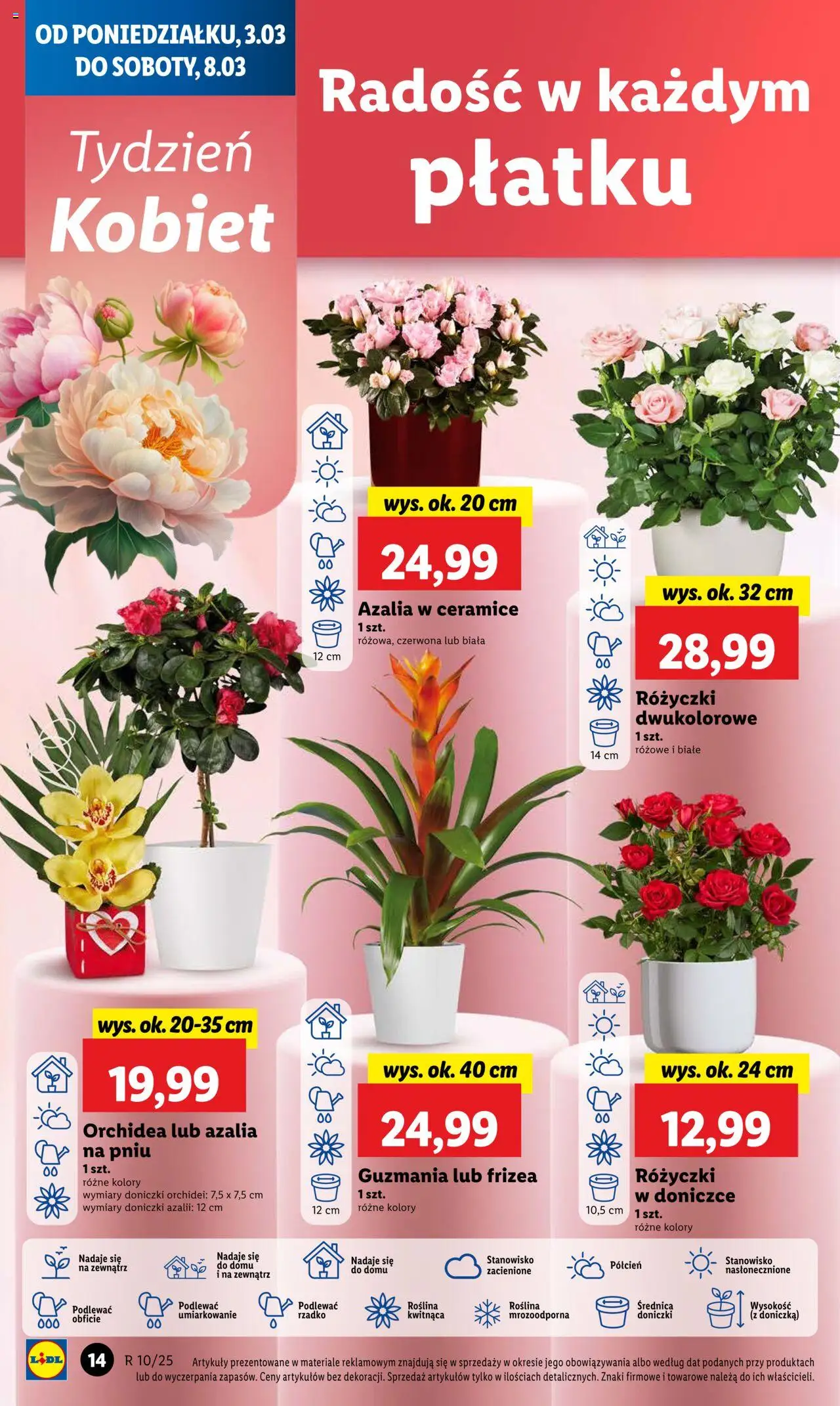 LIDL gazetka ważna od 03.03.2025 do 05.03.2025 strona 18