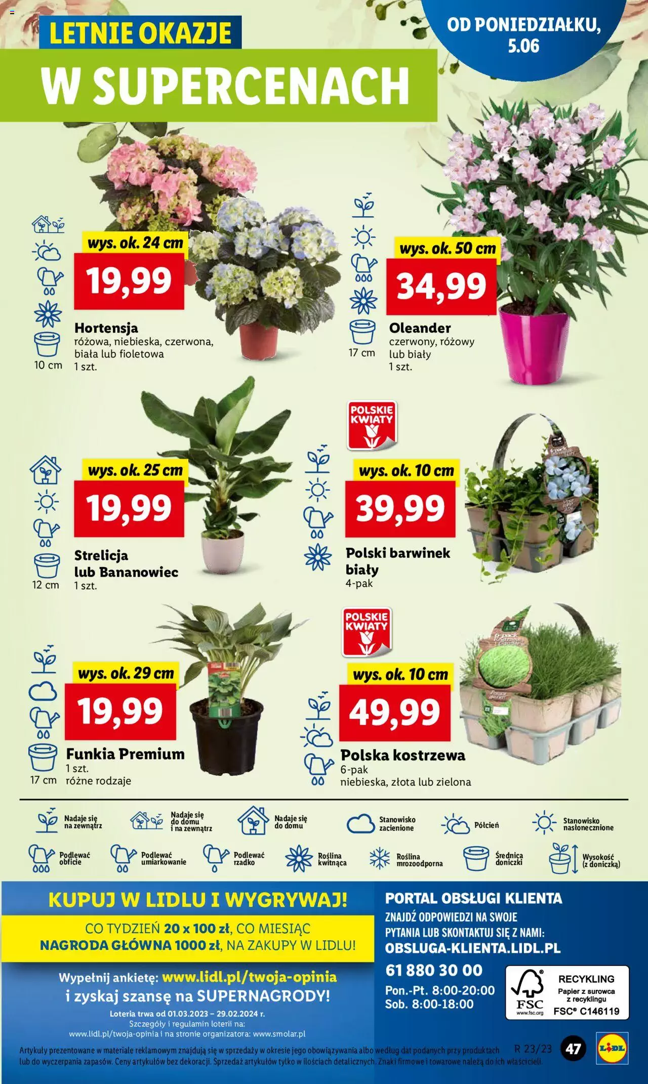 LIDL gazetka ważna od 05.06.2023 do 07.06.2023 strona 51