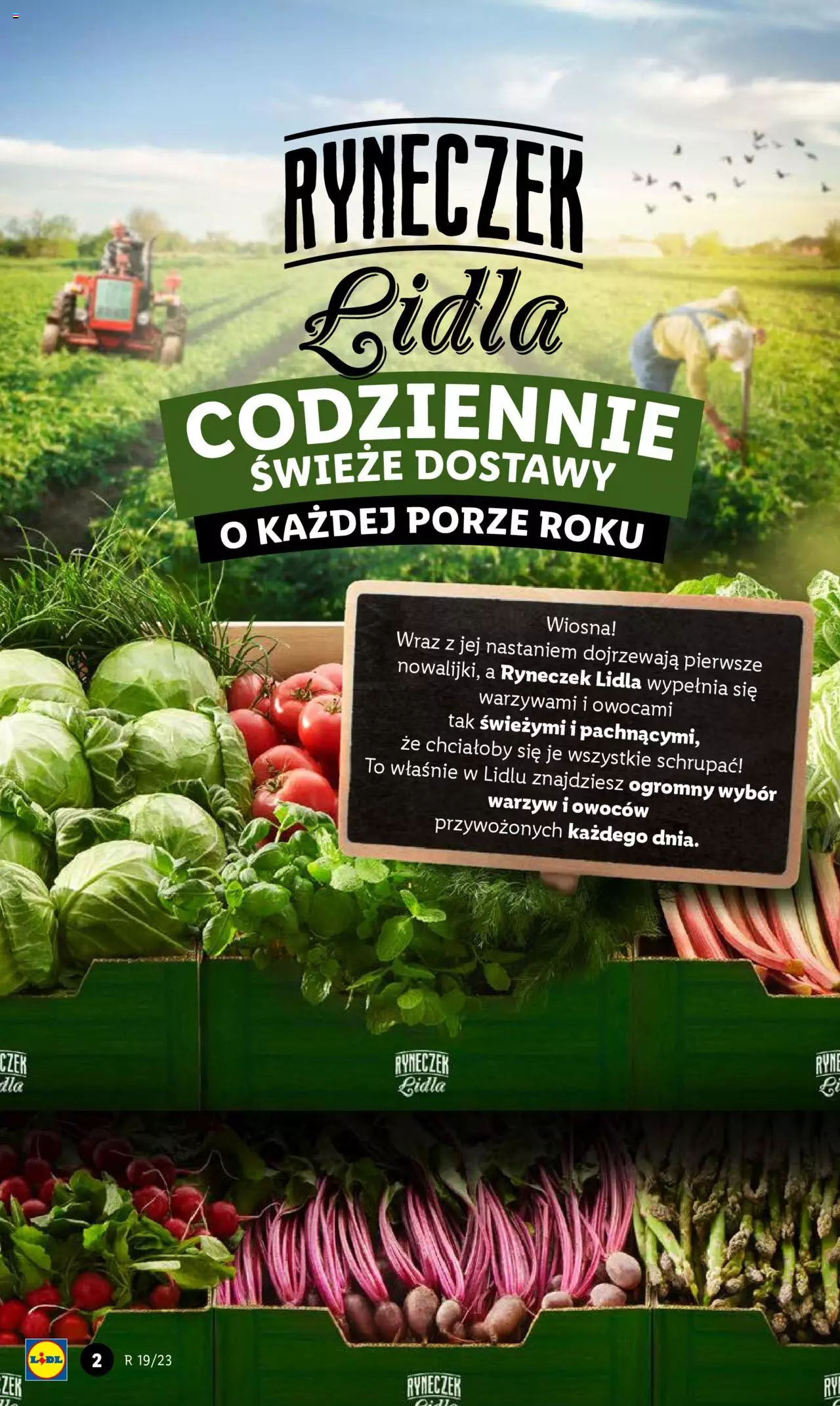 LIDL gazetka ważna od 08.05.2023 do 10.05.2023 strona 4
