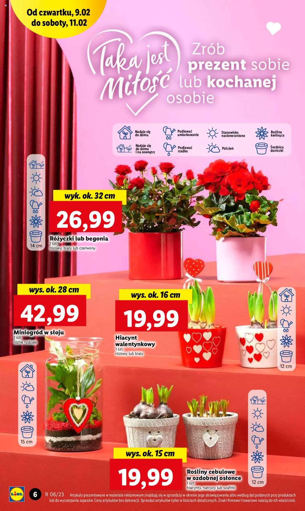 Lidl Gazetka ważna od 09.02.2023 do 11.02.2023 strona 8