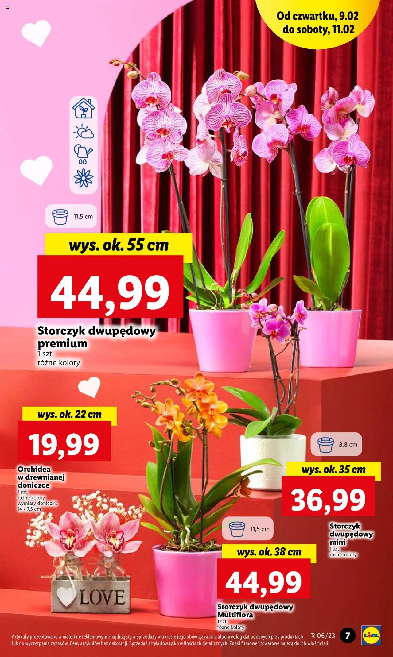 Lidl Gazetka ważna od 09.02.2023 do 11.02.2023 strona 9