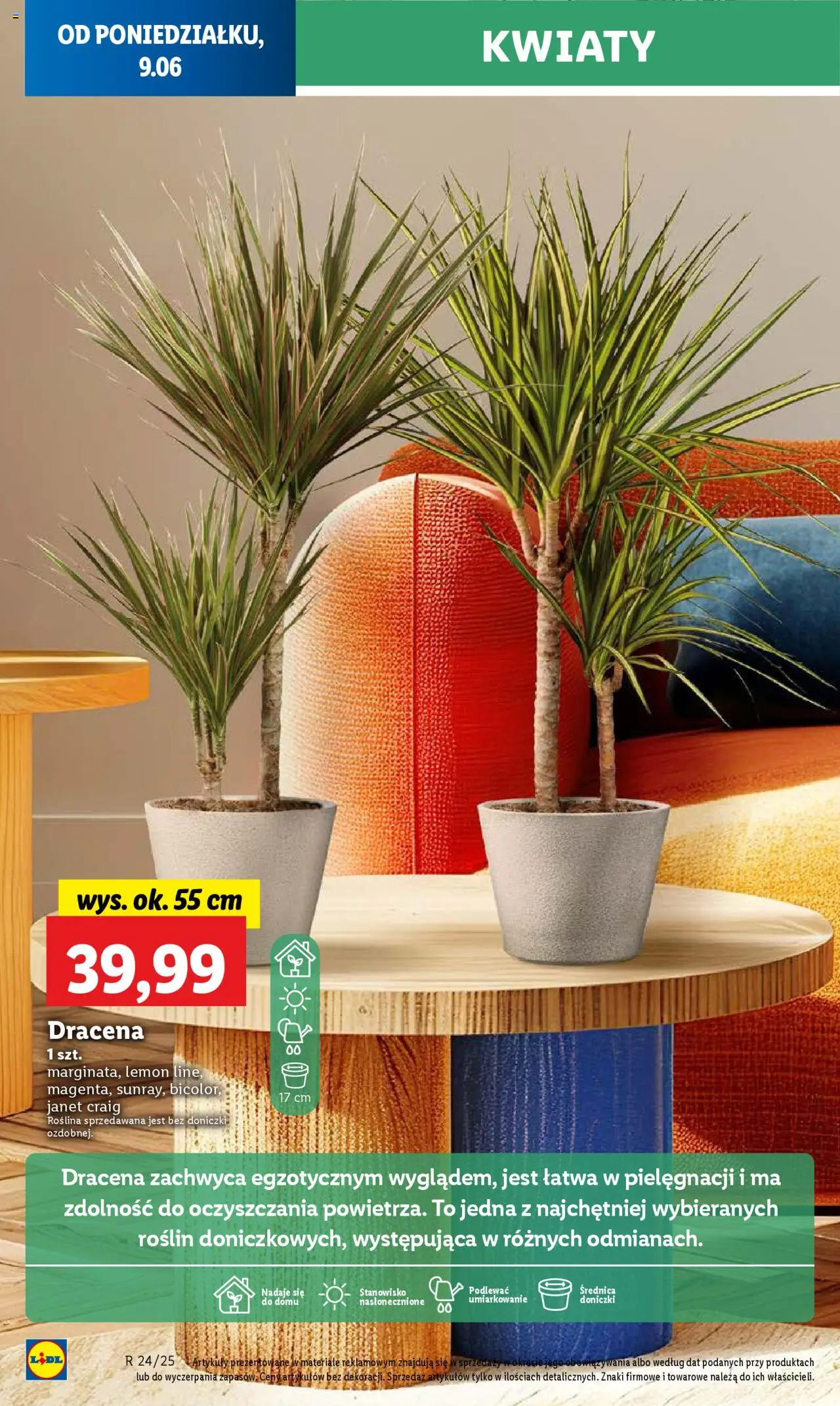 LIDL gazetka ważna od 09.06.2025 do 11.06.2025 strona 64