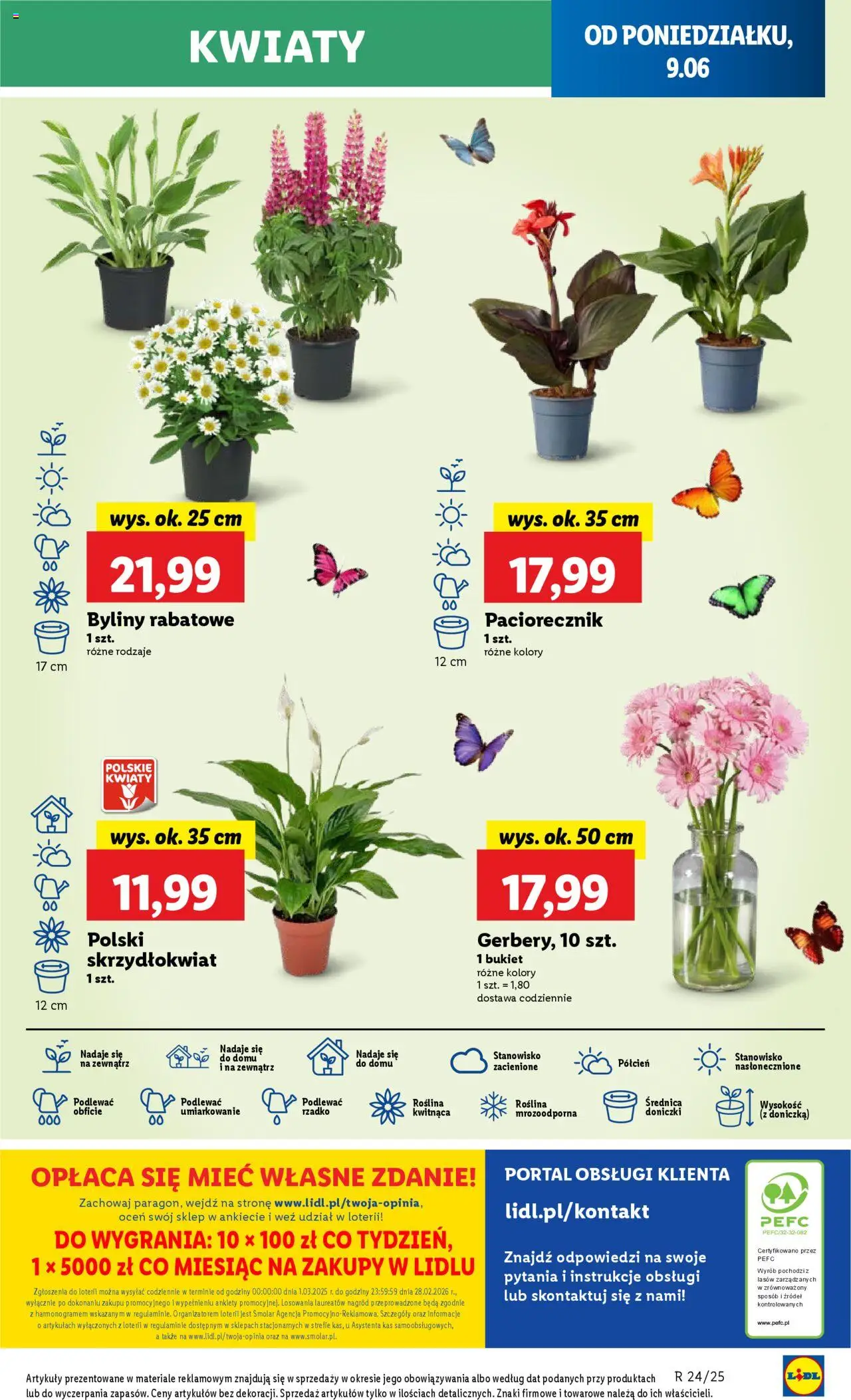 LIDL gazetka ważna od 09.06.2025 do 11.06.2025 strona 65