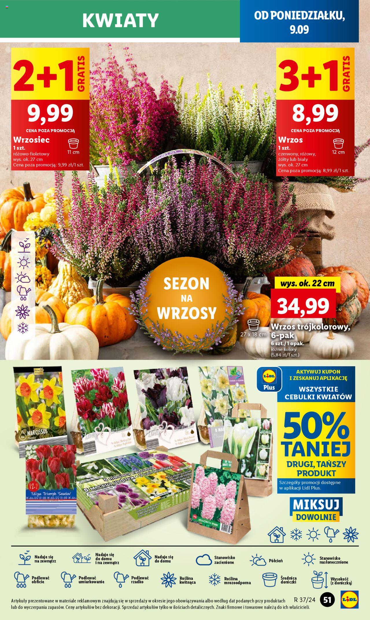 LIDL gazetka ważna od 09.09.2024 do 11.09.2024 strona 49