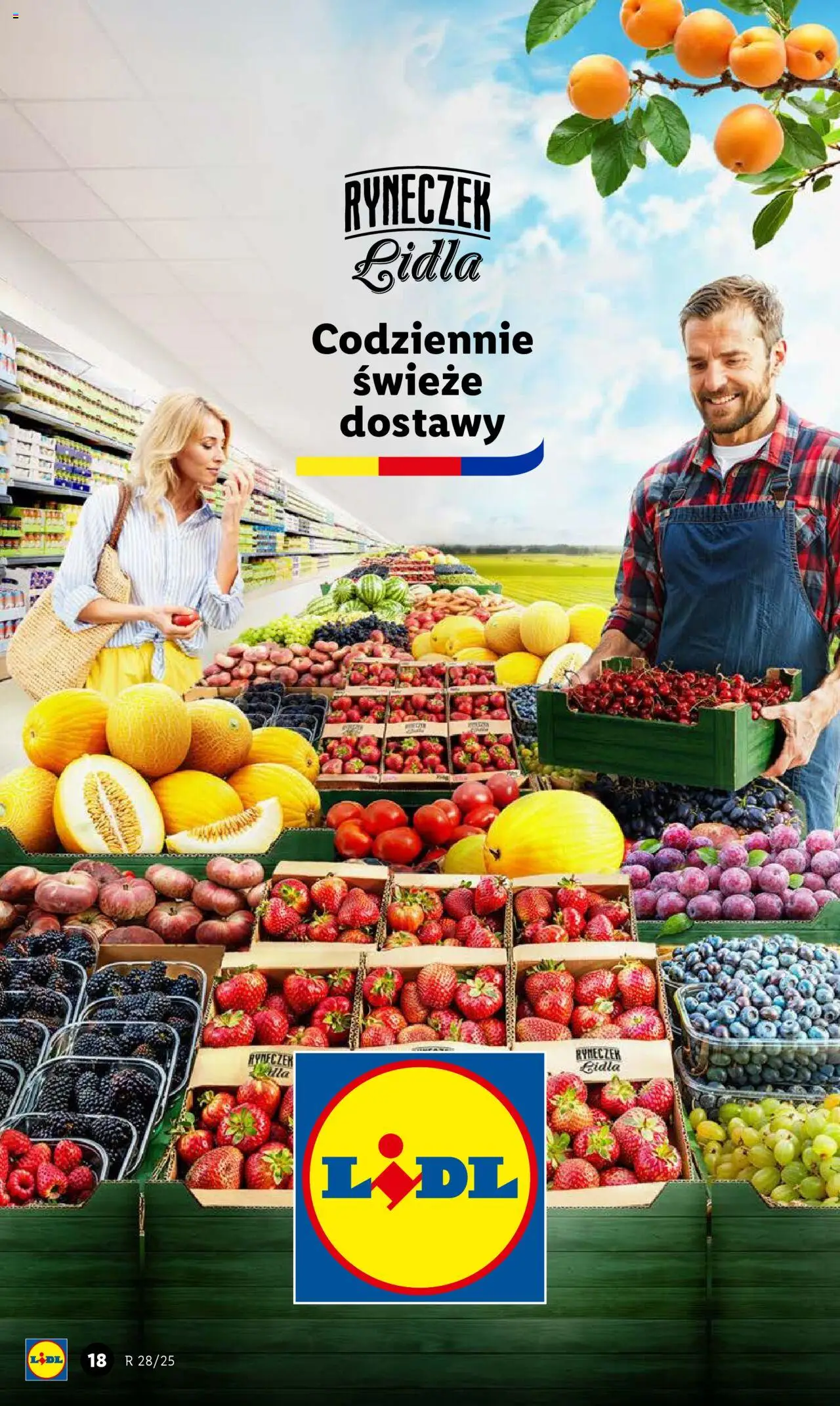 LIDL gazetka ważna od 10.07.2025 do 12.07.2025 strona 22