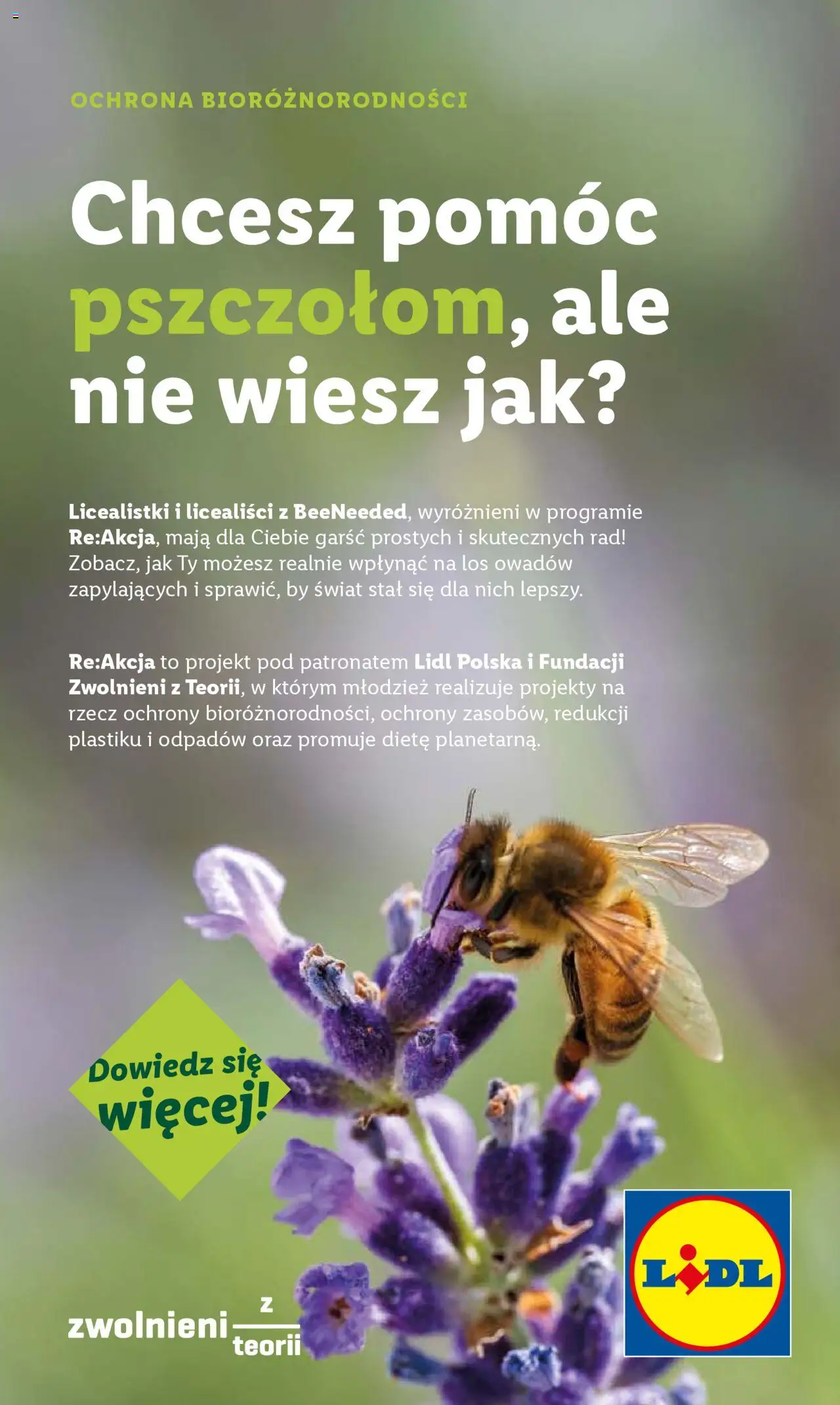 LIDL gazetka ważna od 10.07.2025 do 12.07.2025 strona 60