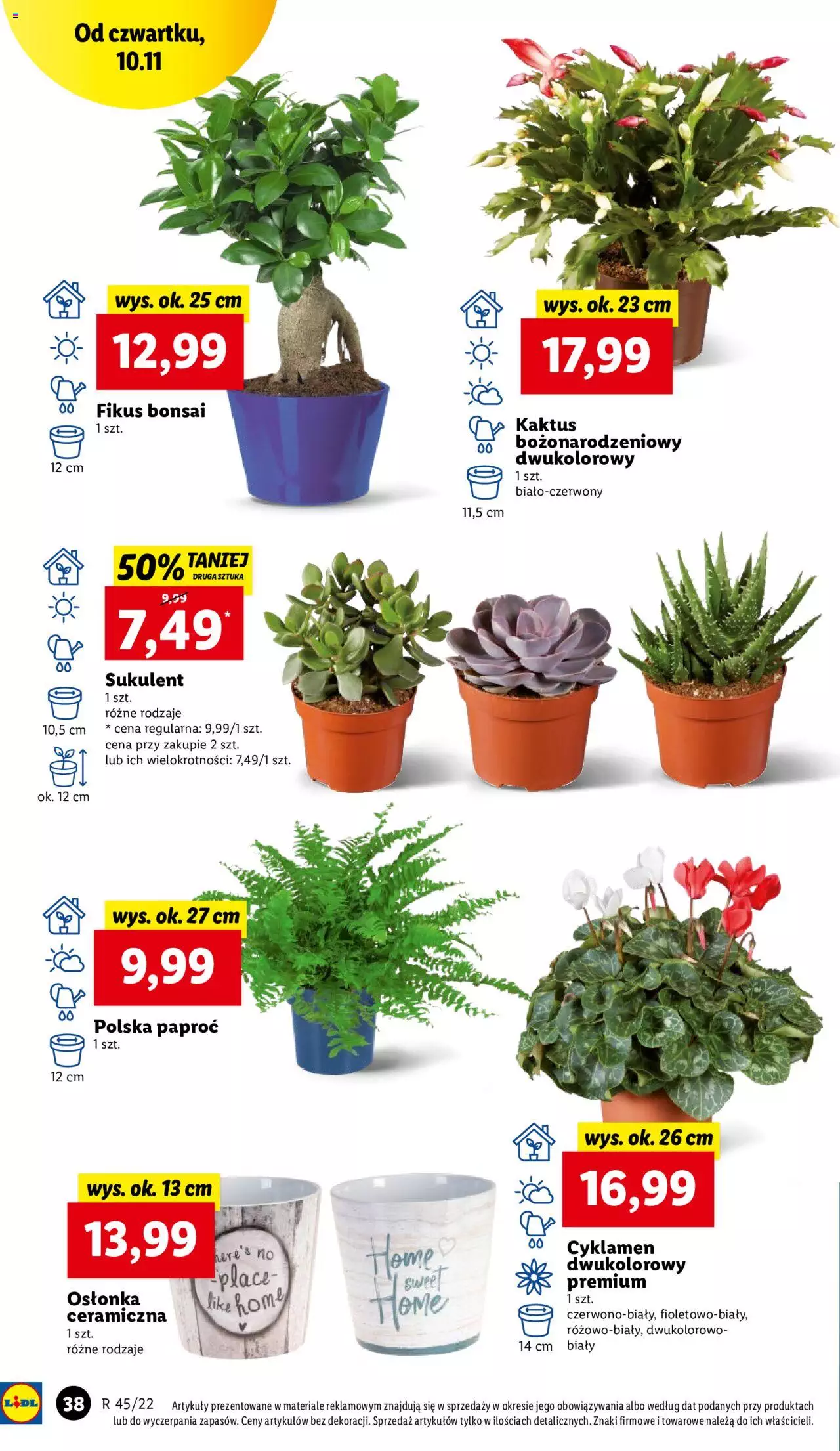 Lidl gazetka ważna od 10.11.2022 do 12.11.2022 strona 42