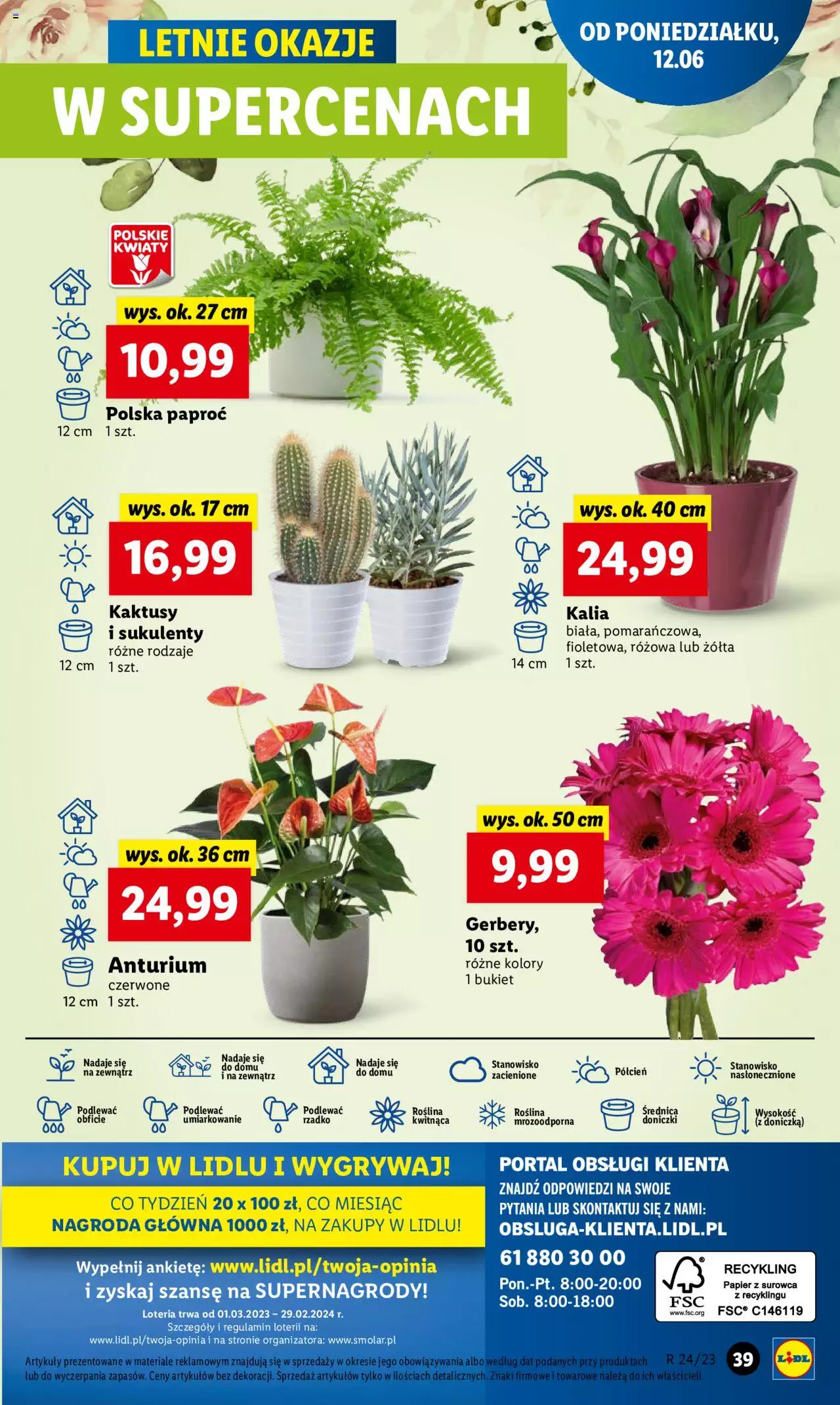 LIDL gazetka ważna od 12.06.2023 do 14.06.2023 strona 41