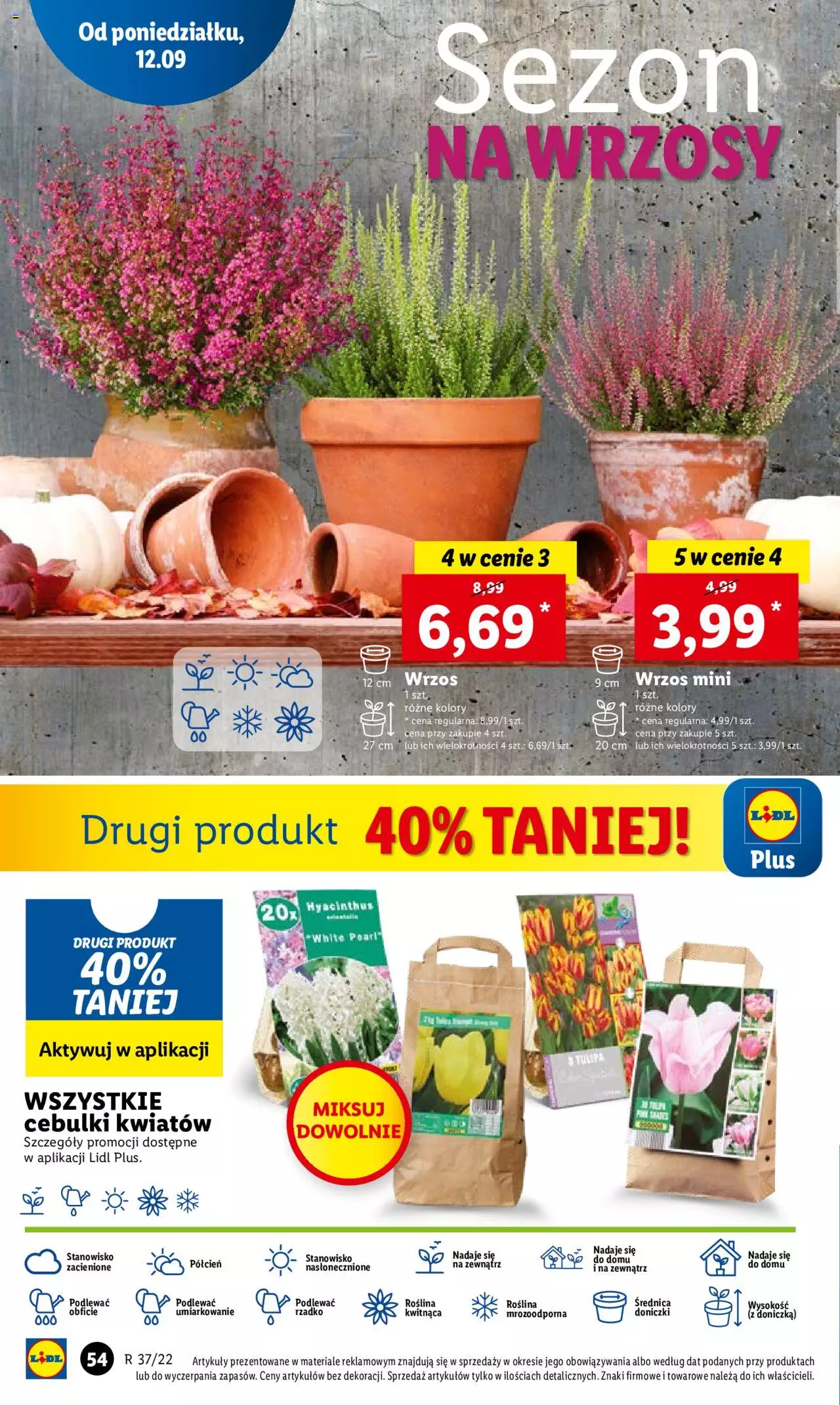 Lidl gazetka ważna od 12.09.2022 do 14.09.2022 strona 56