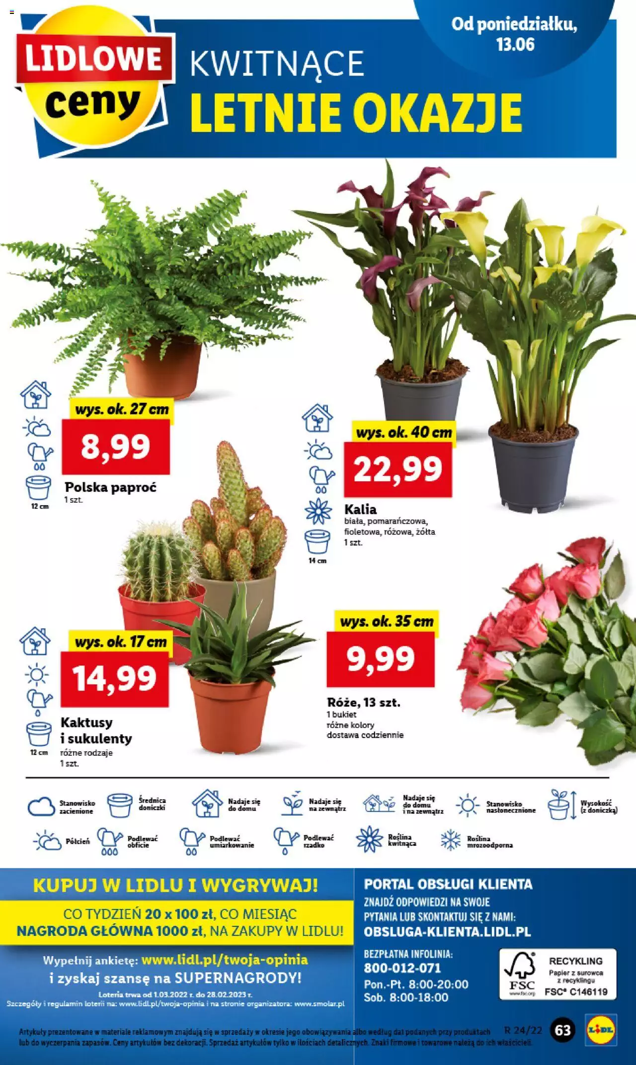 Lidl gazetka ważna od 13.06.2022 do 15.06.2022 strona 63
