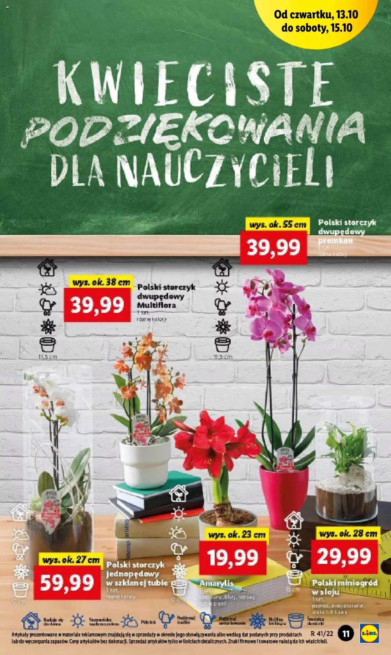 Lidl gazetka ważna od 13.10.2022 do 15.10.2022 strona 11