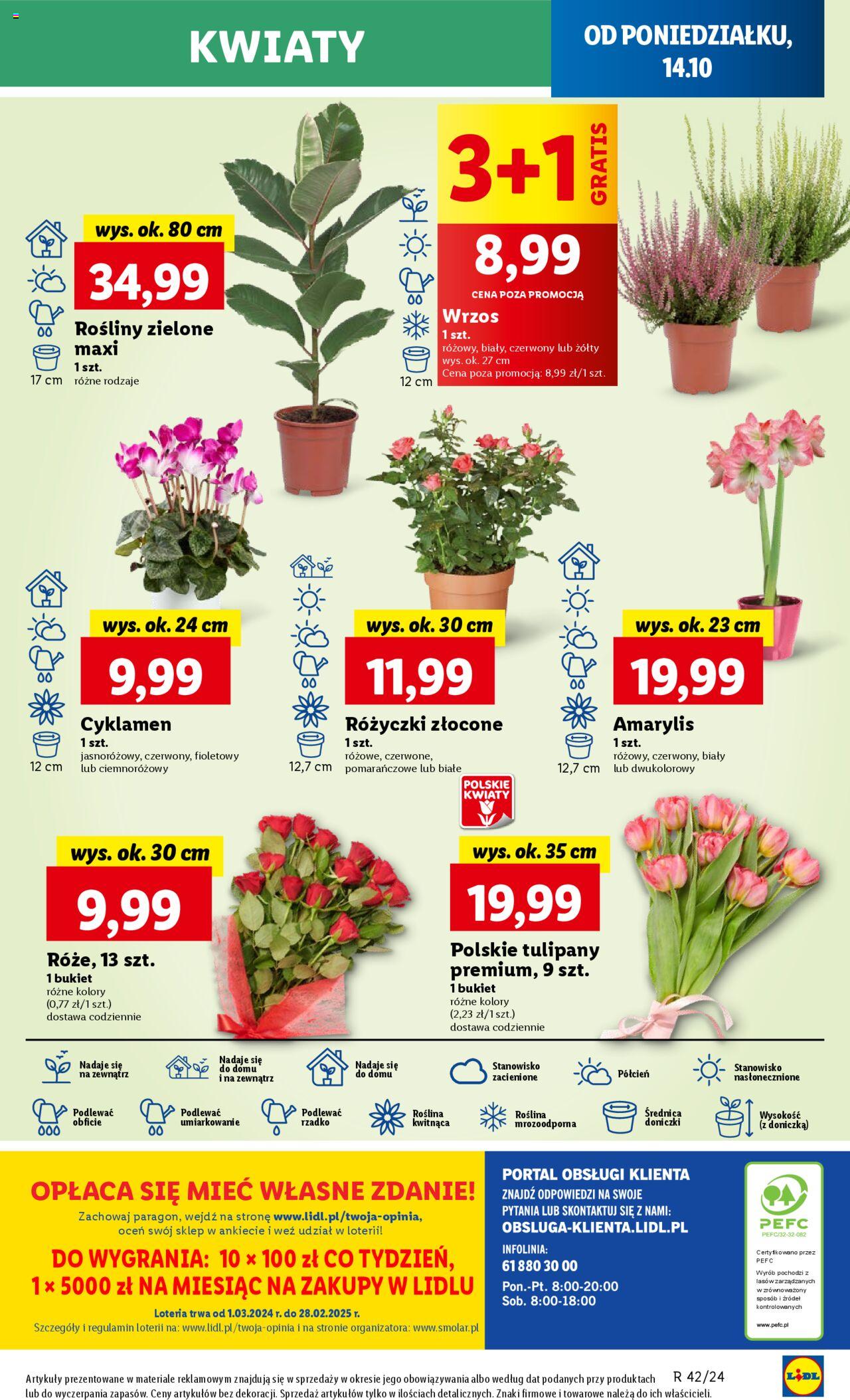 LIDL gazetka ważna od  14.10.2024 do 16.10.2024 strona 46