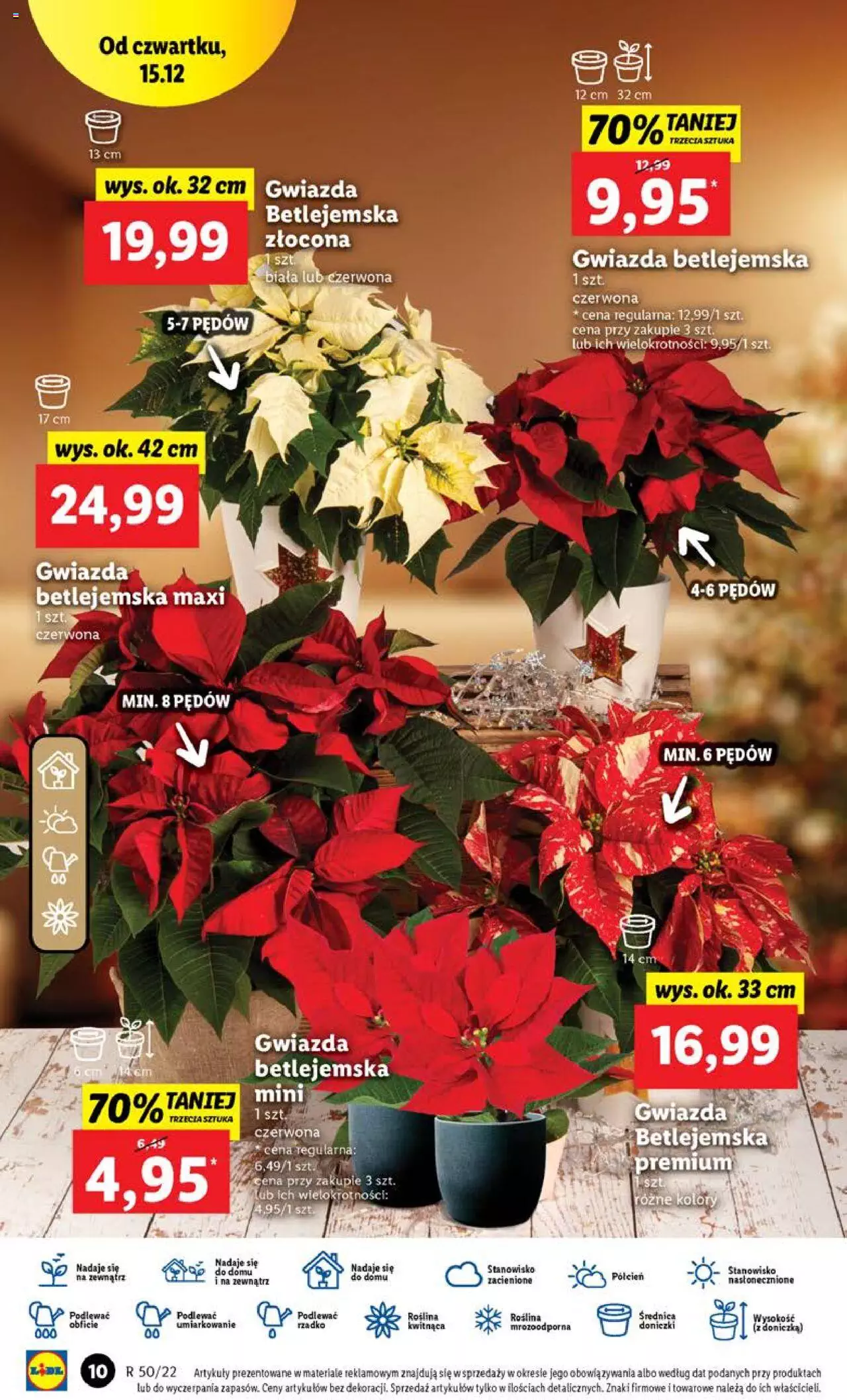 Lidl gazetka ważna od 15.12.2022 do 18.12.2022 strona 12