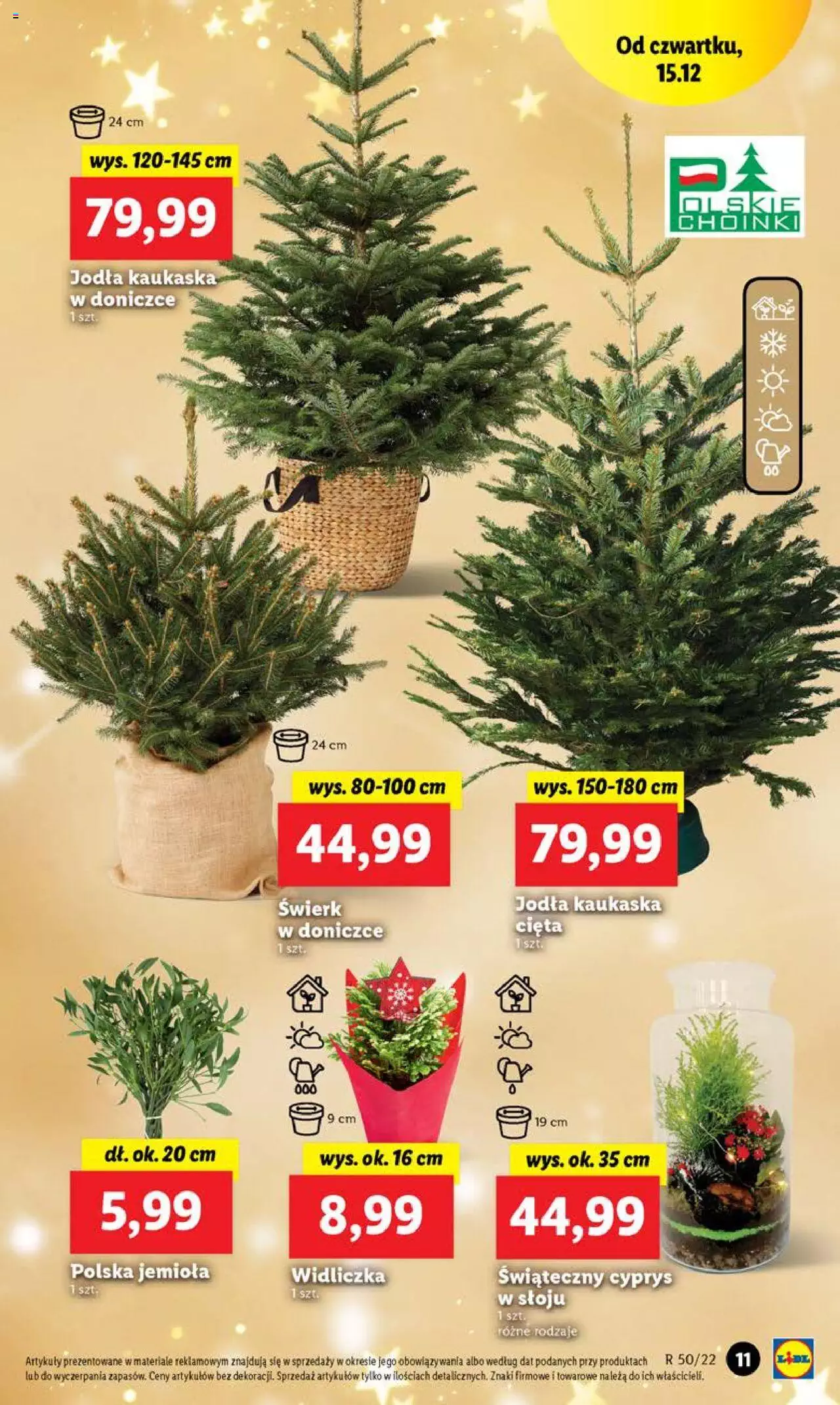 Lidl gazetka ważna od 15.12.2022 do 18.12.2022 strona 13