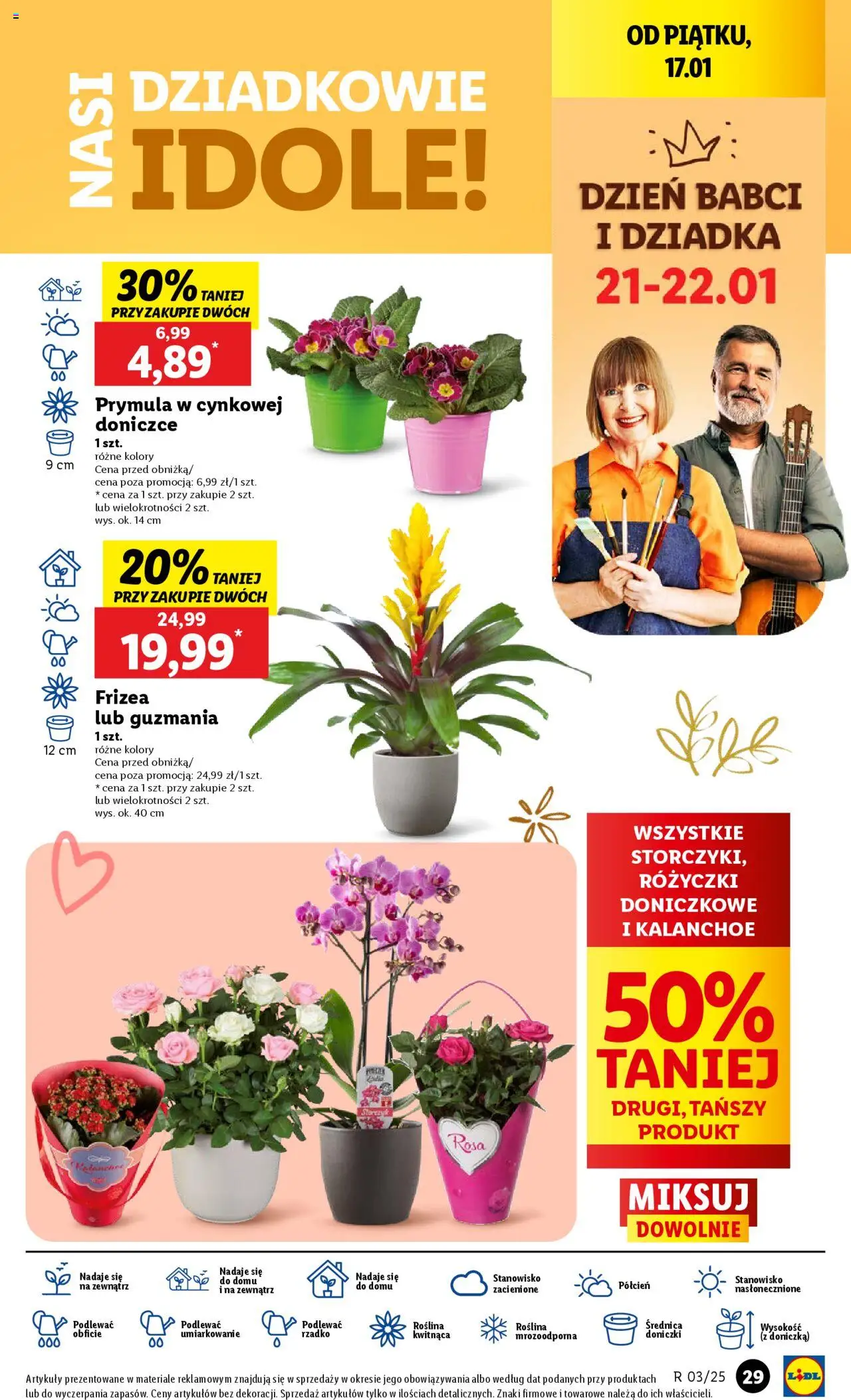 LIDL gazetka ważna od 16.01.2025 do 18.01.2025 strona 31