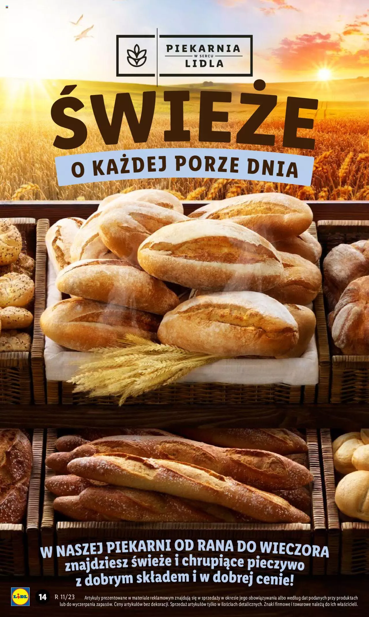 LIDL gazetka ważna od 16.03.2023 do 18.03.2023 strona 14