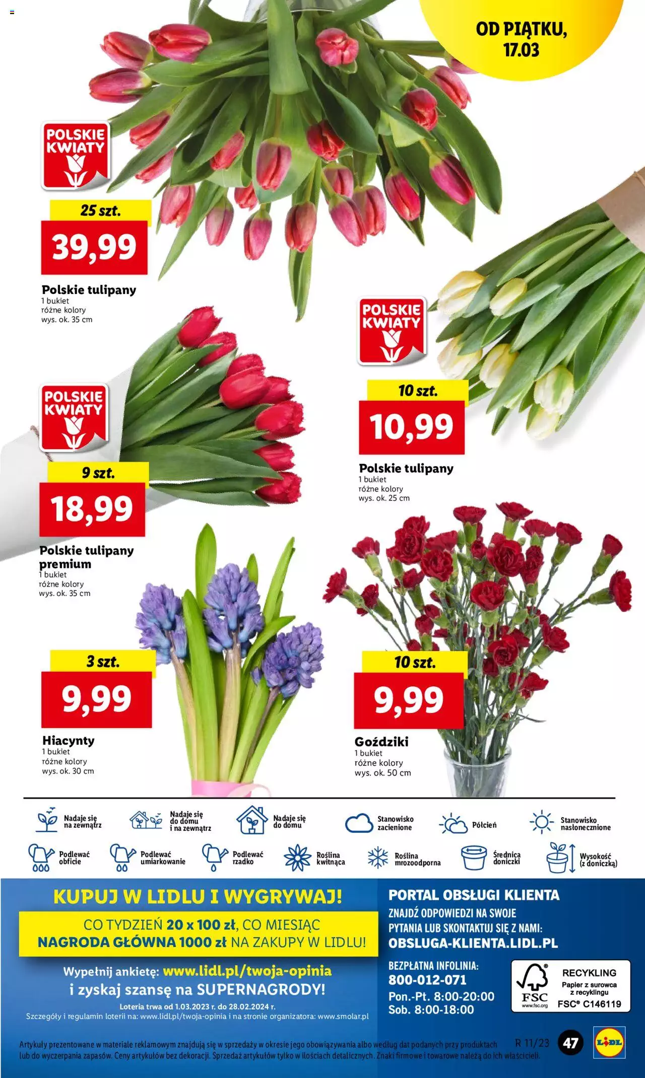 LIDL gazetka ważna od 16.03.2023 do 18.03.2023 strona 49