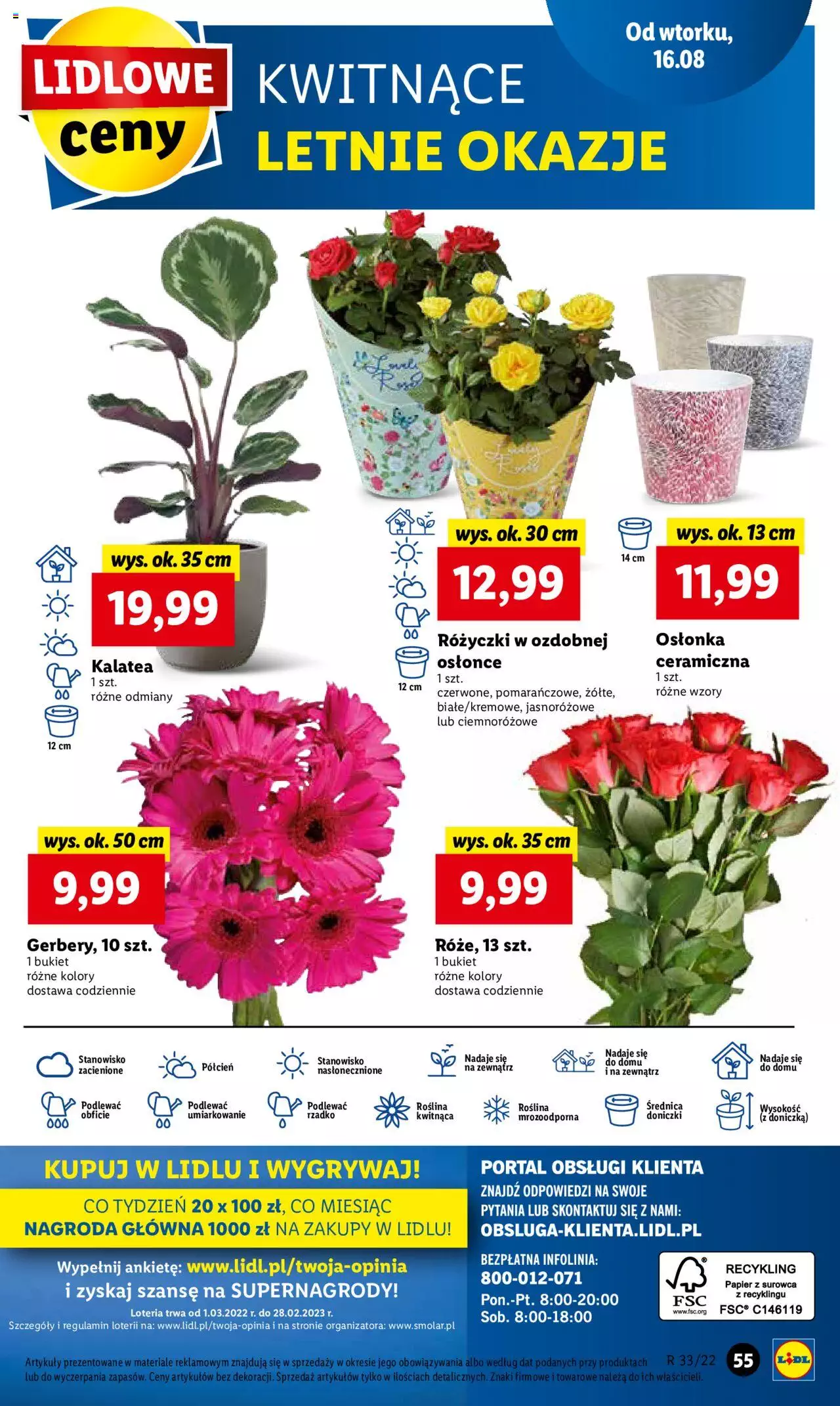 Lidl gazetka ważna od 16.08.2022 do 17.08.2022 strona 59