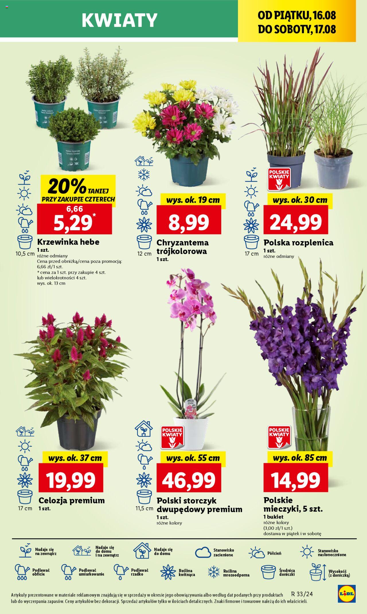 LIDL gazetka ważna od 16.08.2024 do 17.08.2024 strona 41