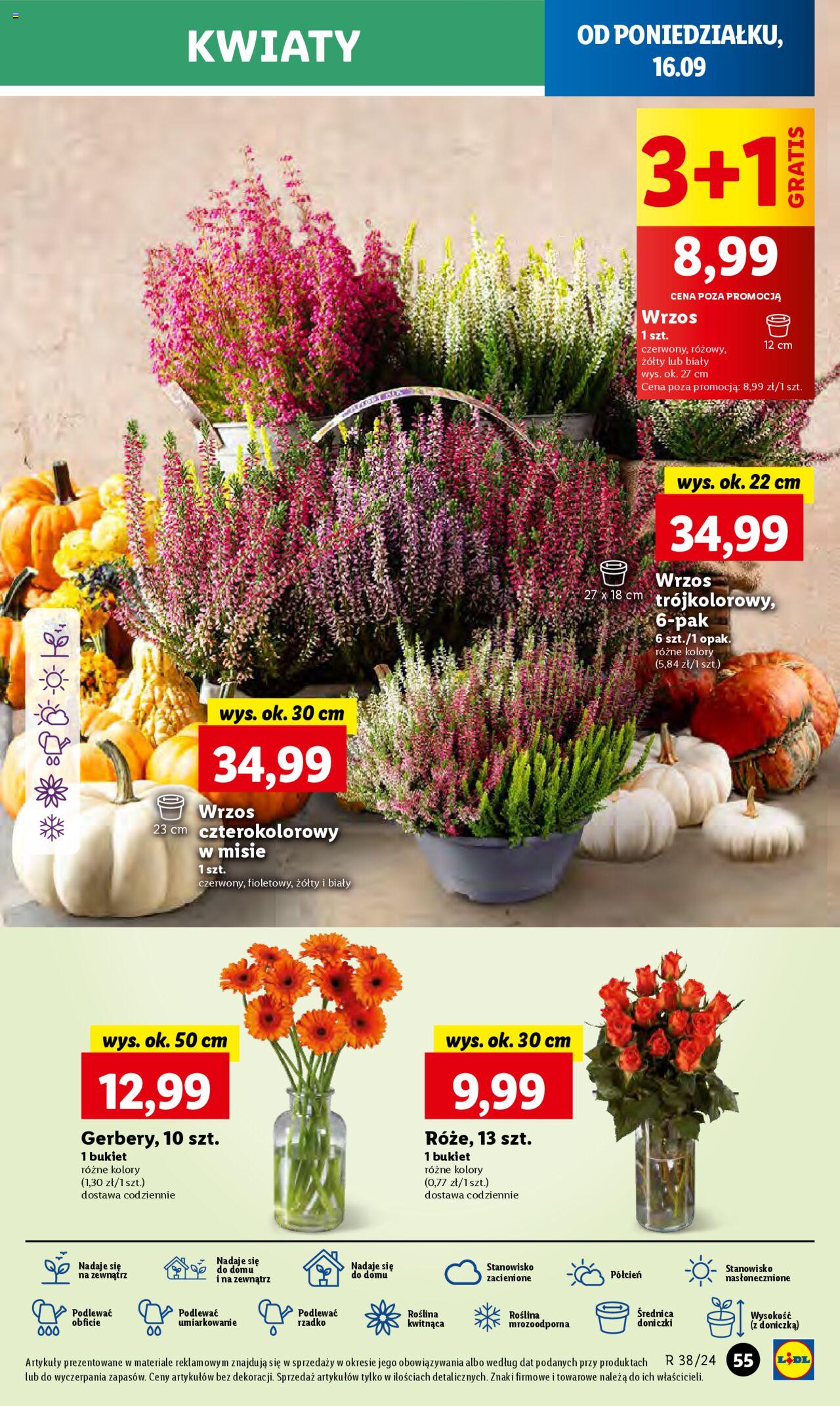 LIDL gazetka ważna od 16.09.2024 do 18.09.2024 strona 60