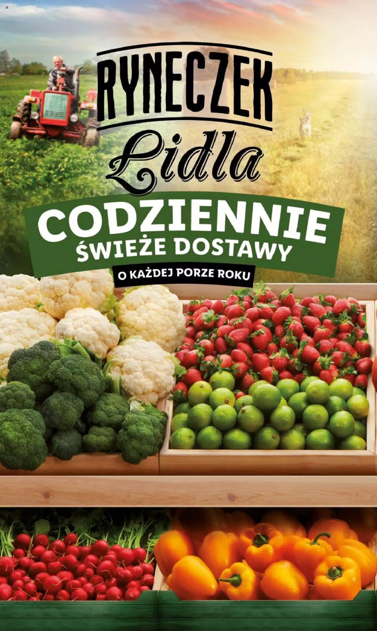 LIDL gazetka ważna od  17.04.2023 do 19.04.2023 strona 11
