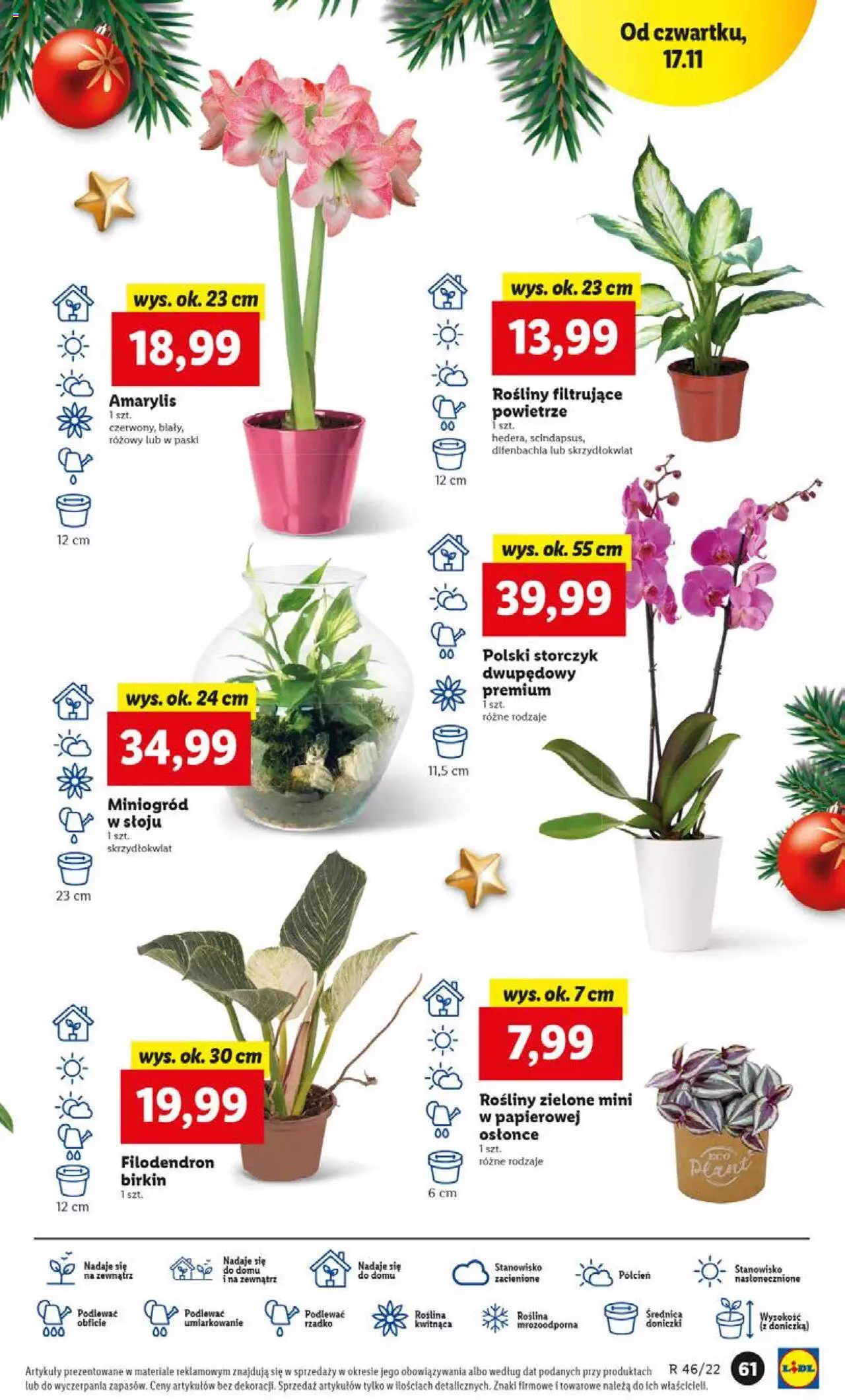 Lidl gazetka ważna od 17.11.2022 do 19.11.2022 strona 61