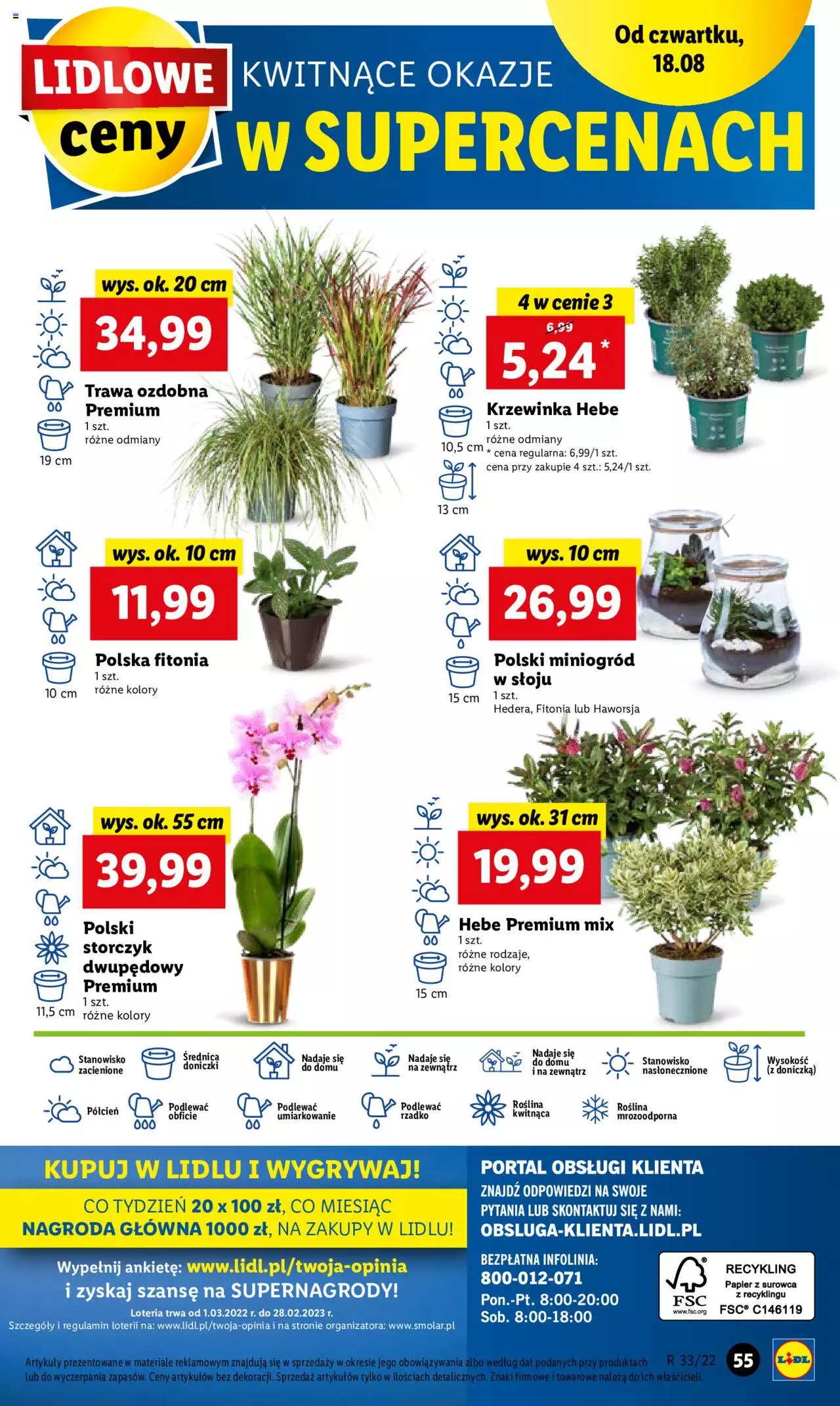 Lidl gazetka ważna od 18.08.2022 do 20.08.2022 strona 55