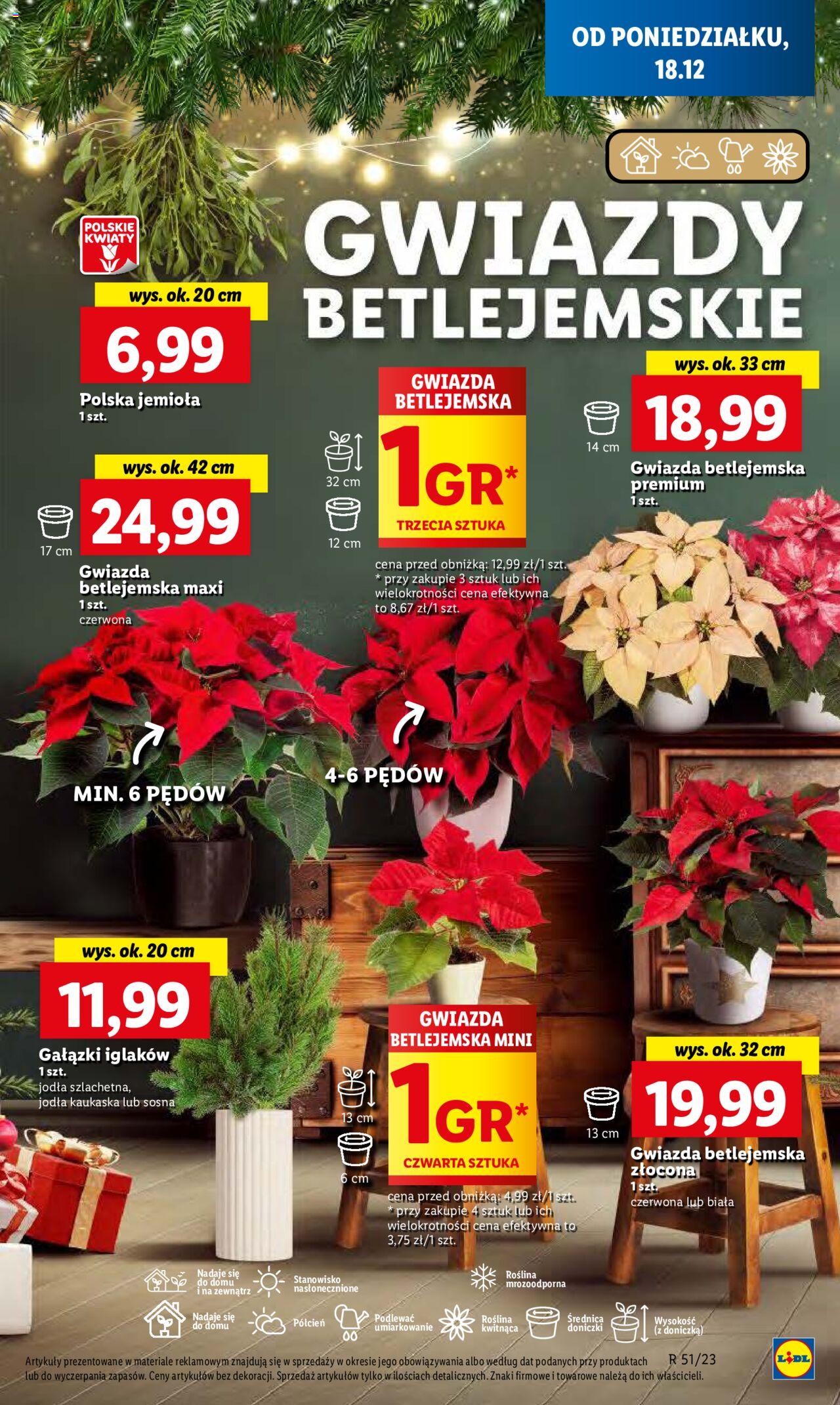 Lidl gazetka ważna od 18.12.2023 do 20.12.2023 strona 45