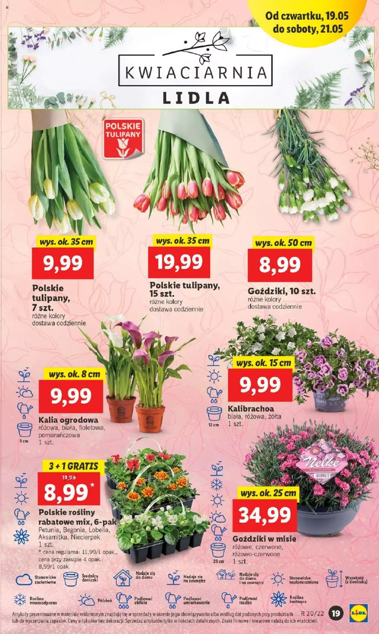Lidl gazetka ważna od 19.05.2022 do 21.05.2022 strona 19