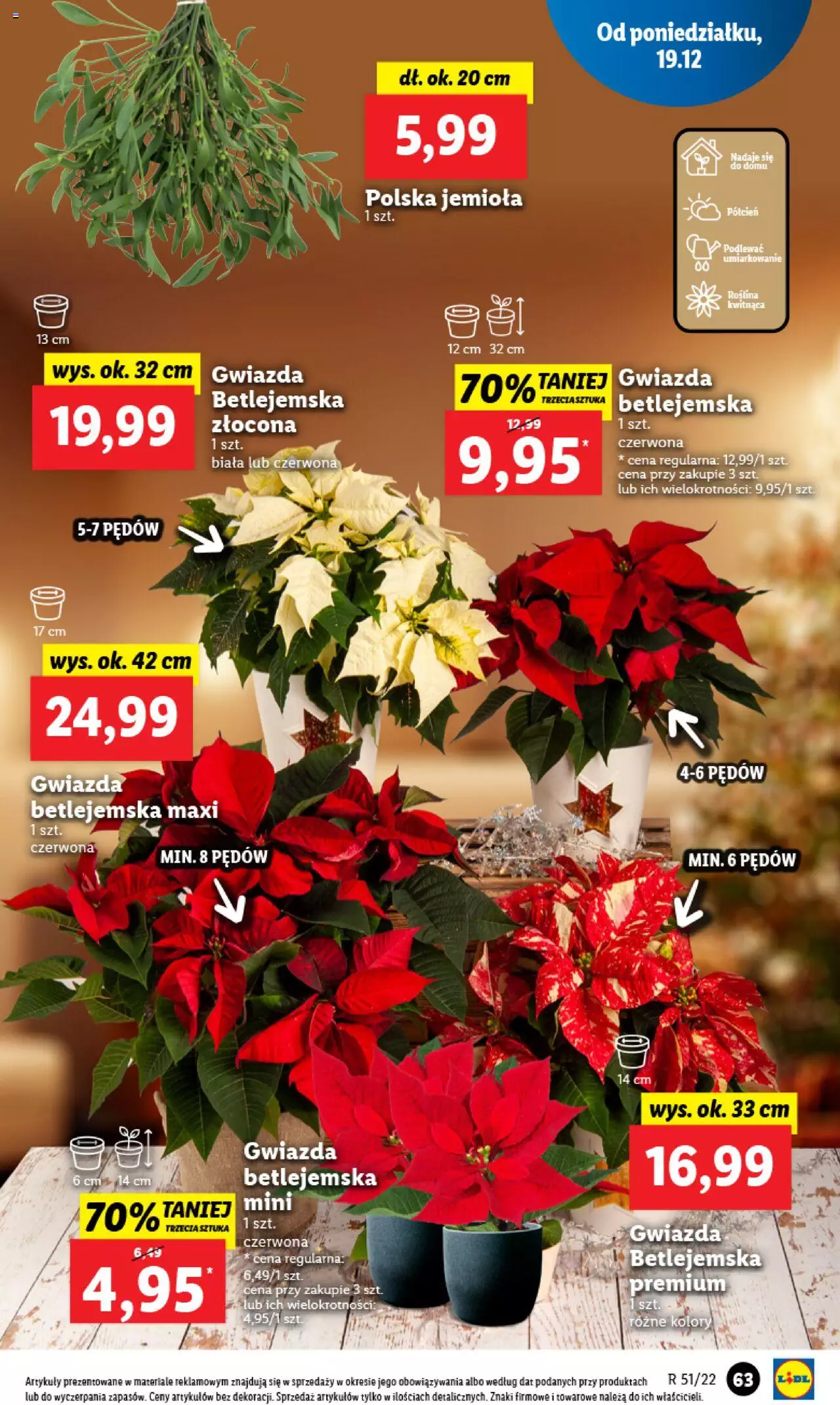 Lidl gazetka ważna od 19.12.2022 do 21.12.2022 strona 78
