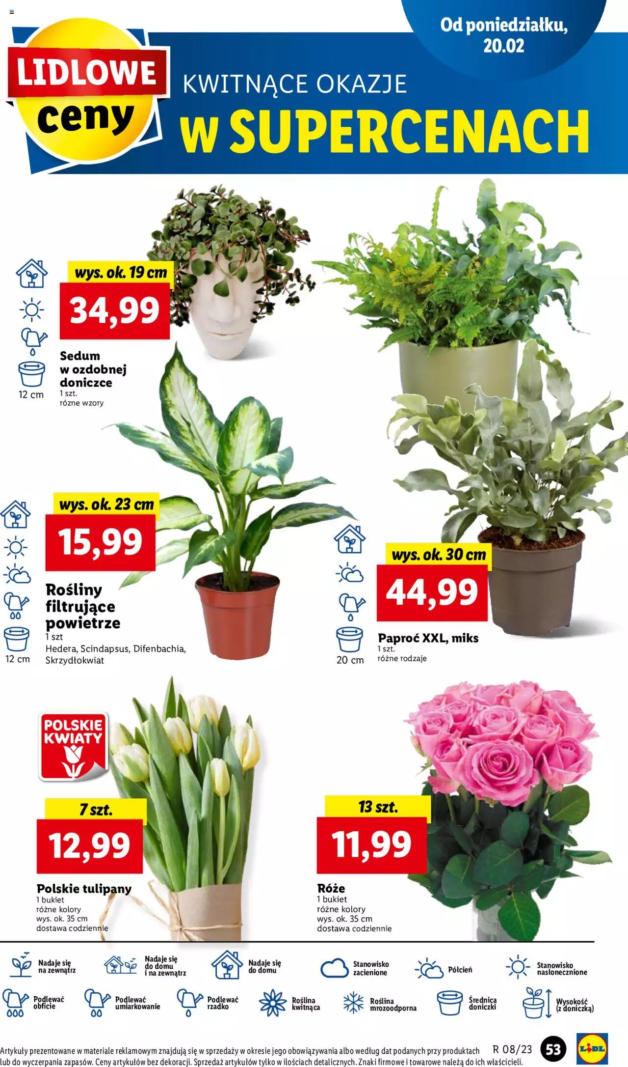 Lidl gazetka ważna od 20.02.2023 do 22.02.2023 strona 61