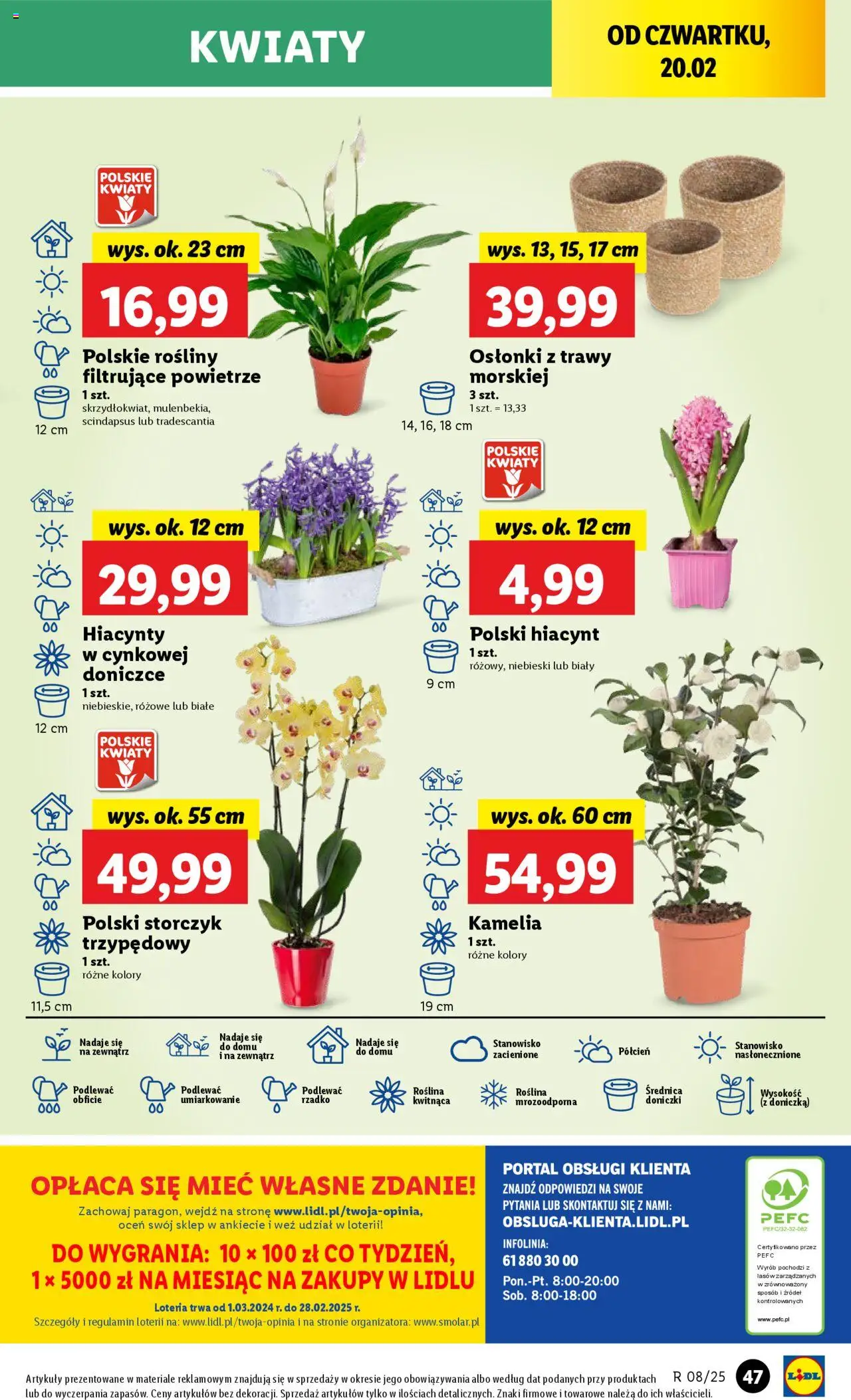 LIDL gazetka ważna  od 20.02.2025 do 22.02.2025 strona 49
