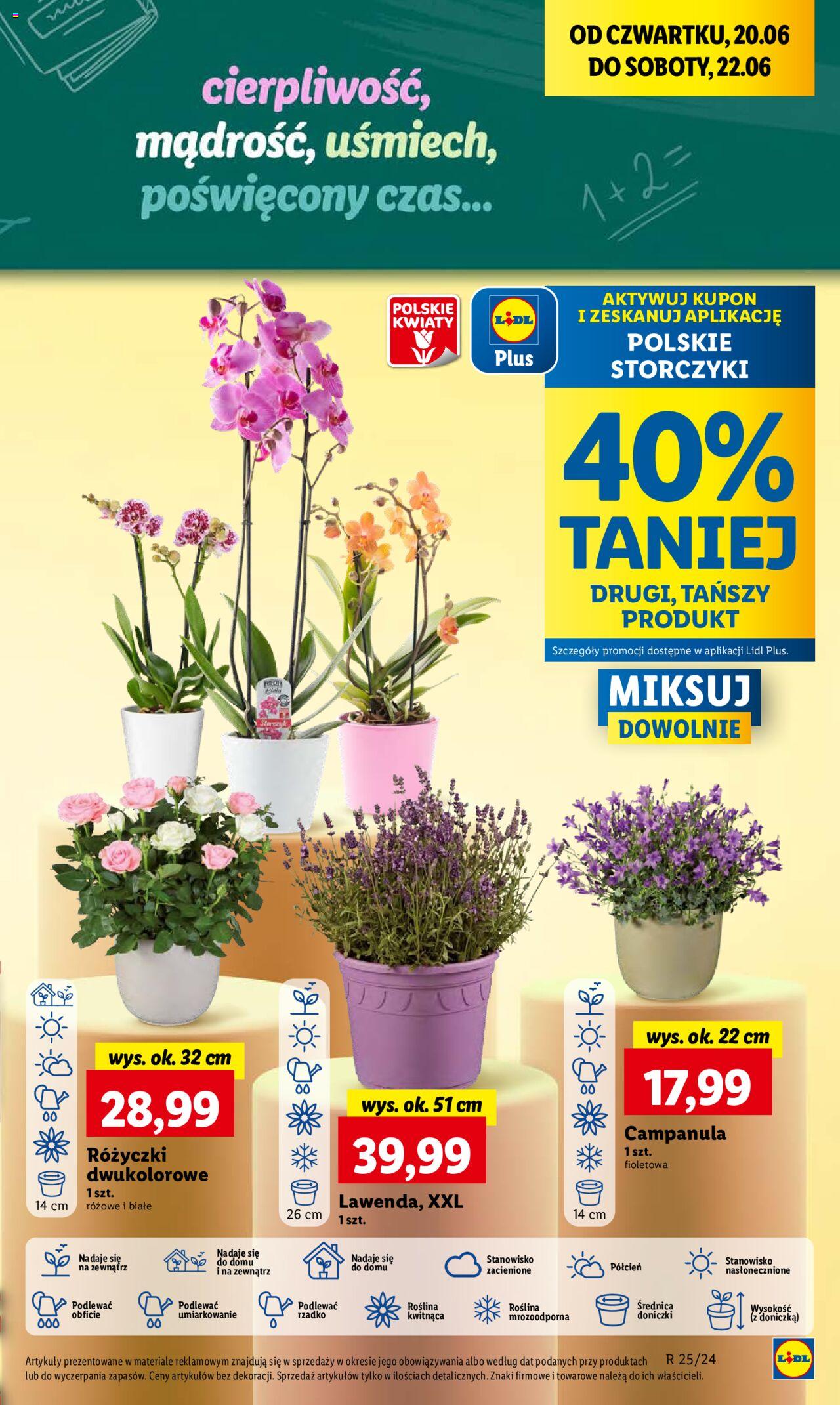 LIDL gazetka ważna od 20.06.2024 do 22.06.2024 strona 53
